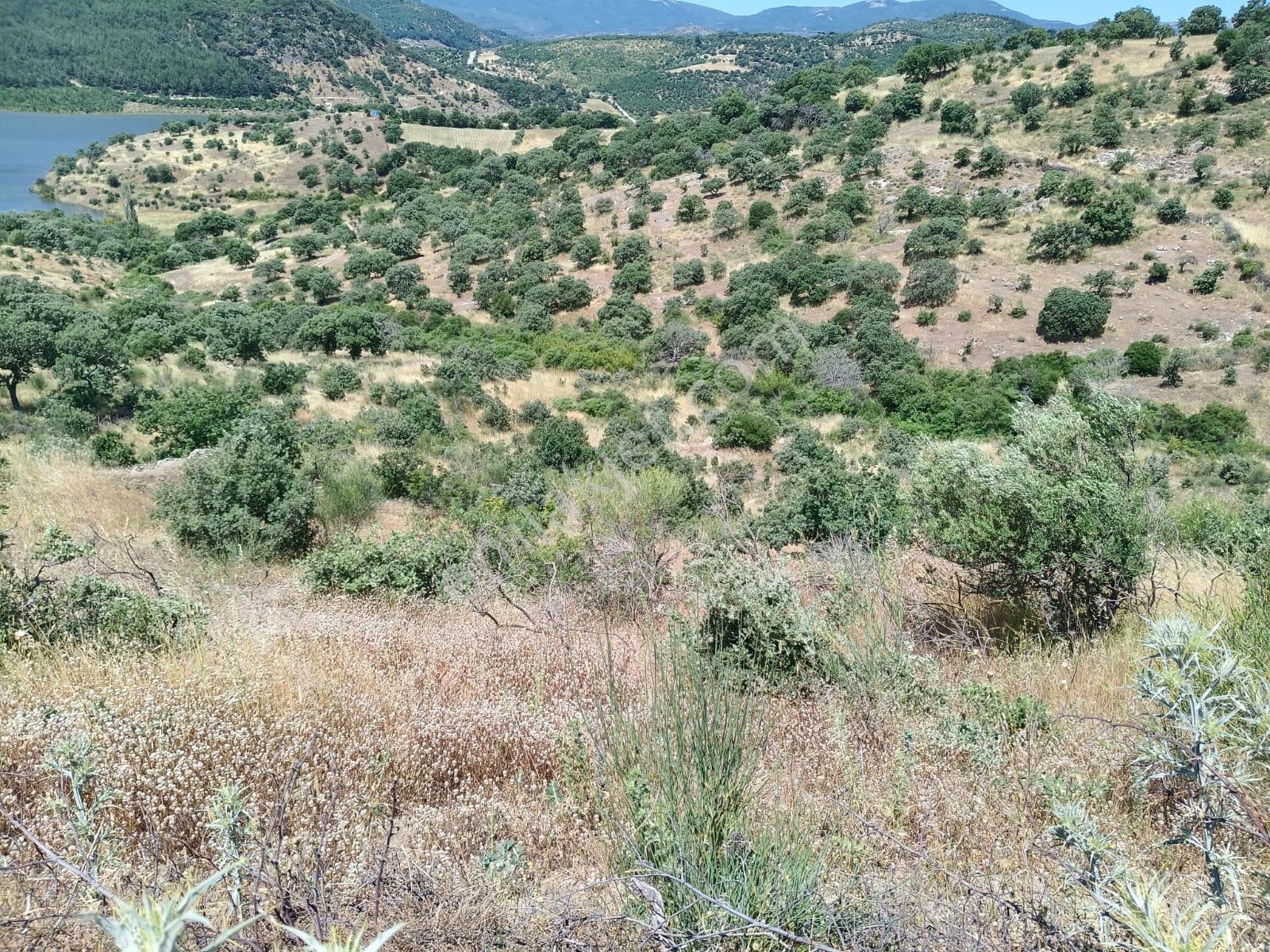 Baraj Manzaralı 7200 M2 Tarla - Görsel 12