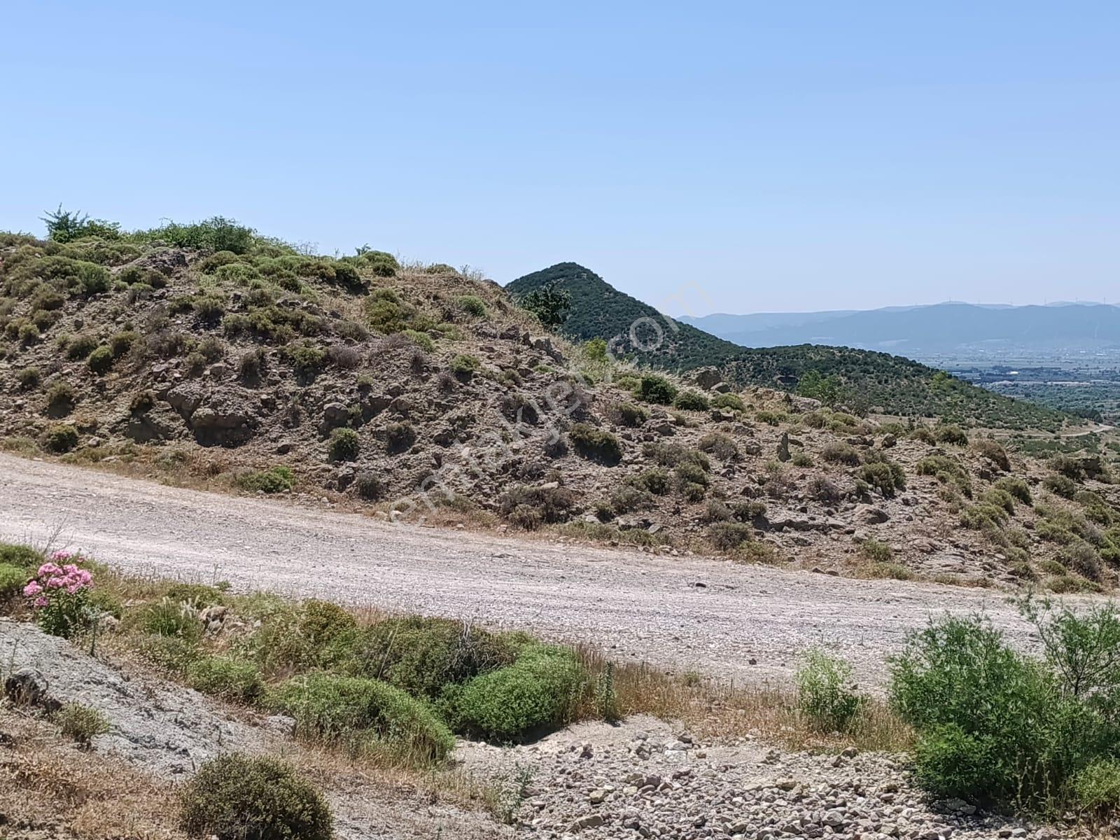 Baraj Manzaralı 7200 M2 Tarla - Görsel 16