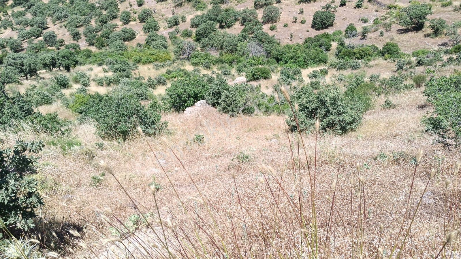 Baraj Manzaralı 7200 M2 Tarla - Görsel 11