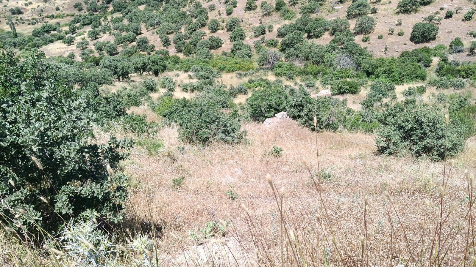 Baraj Manzaralı 7200 M2 Tarla - Görsel 8
