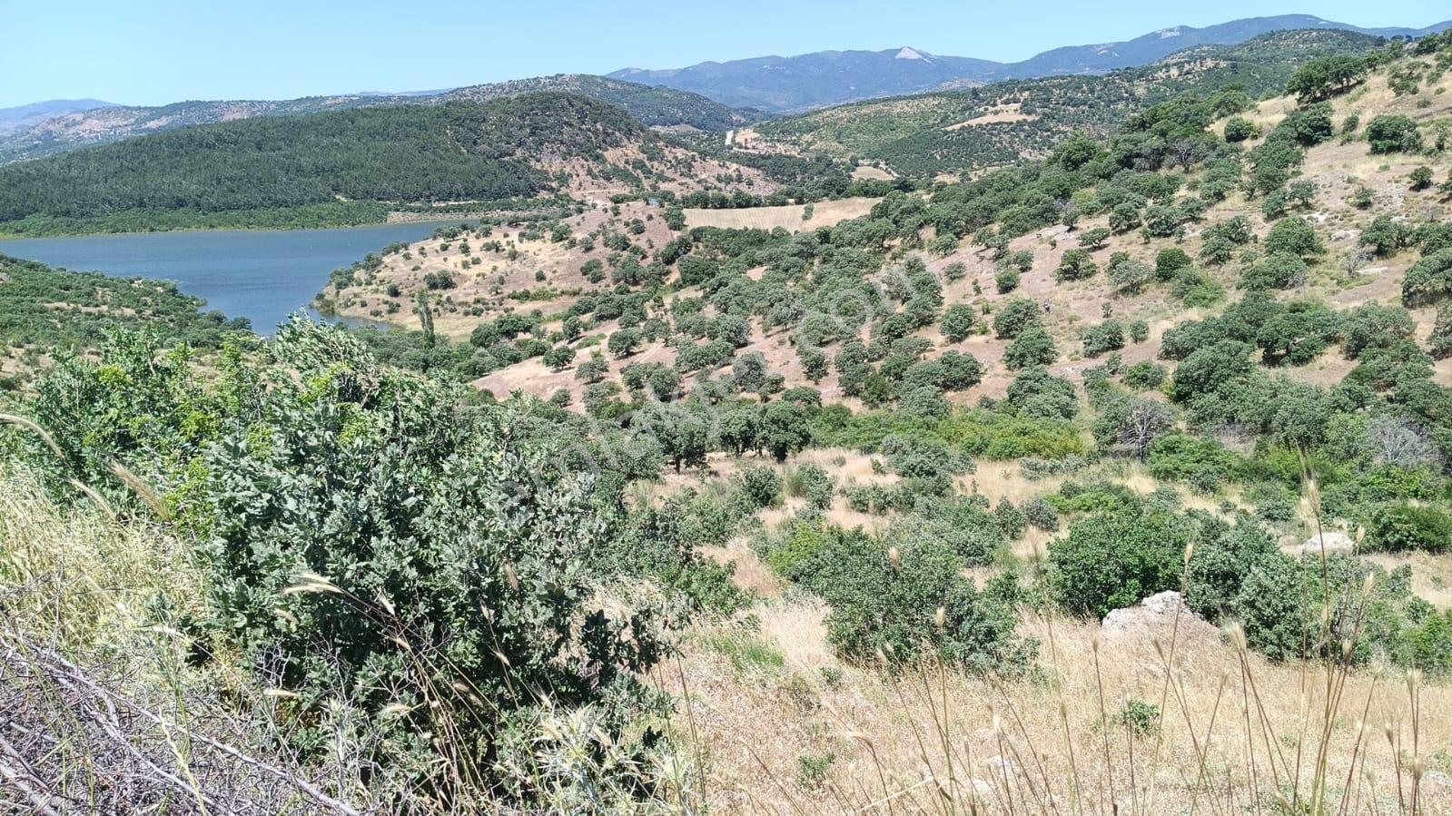Baraj Manzaralı 7200 M2 Tarla - Görsel 9