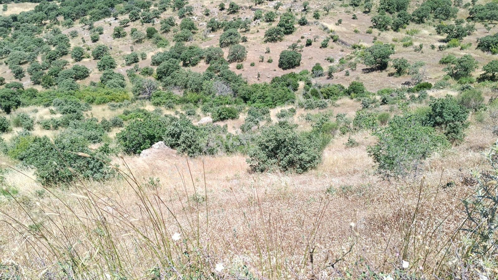 Baraj Manzaralı 7200 M2 Tarla - Görsel 6