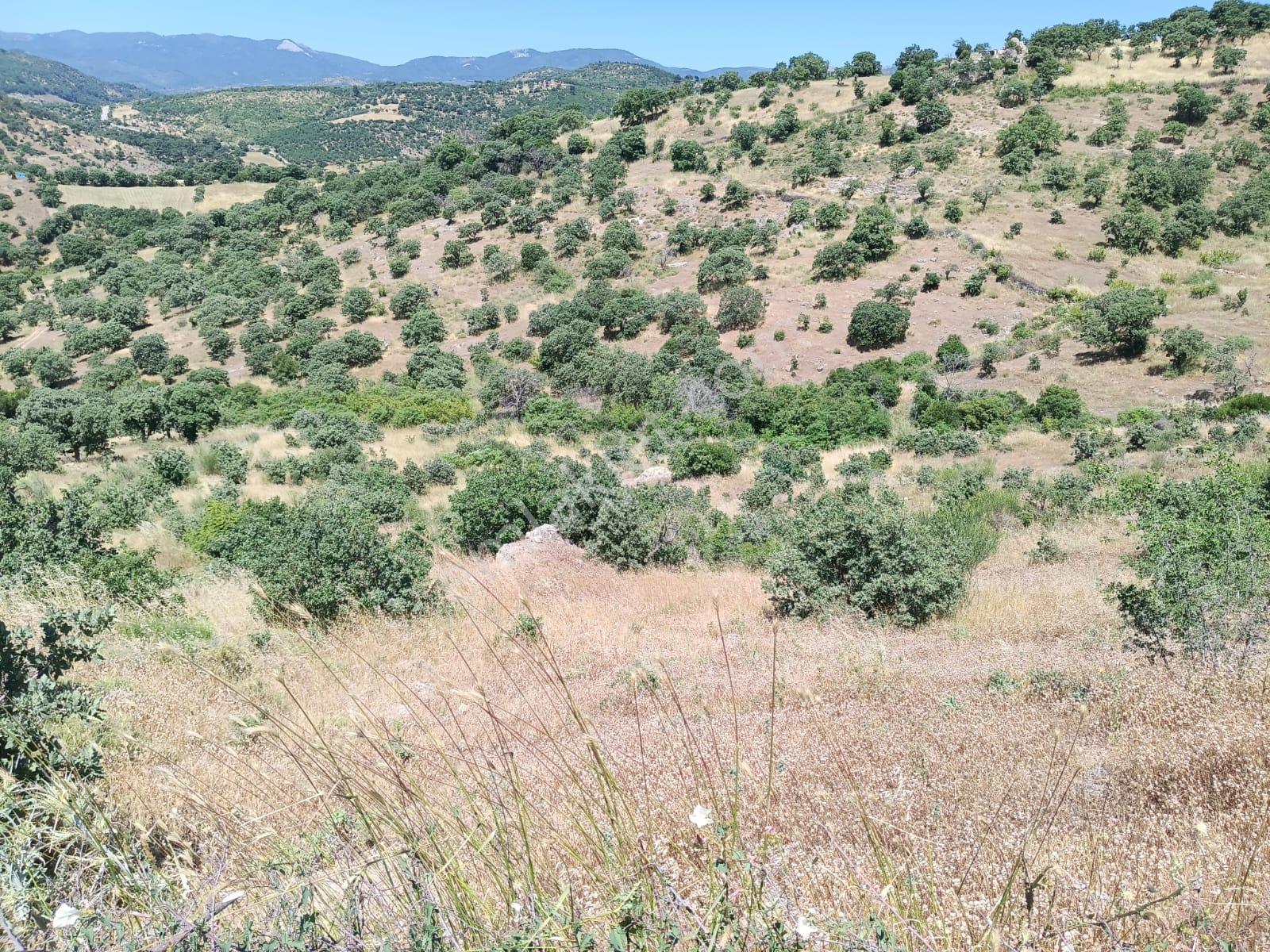 Baraj Manzaralı 7200 M2 Tarla - Görsel 10