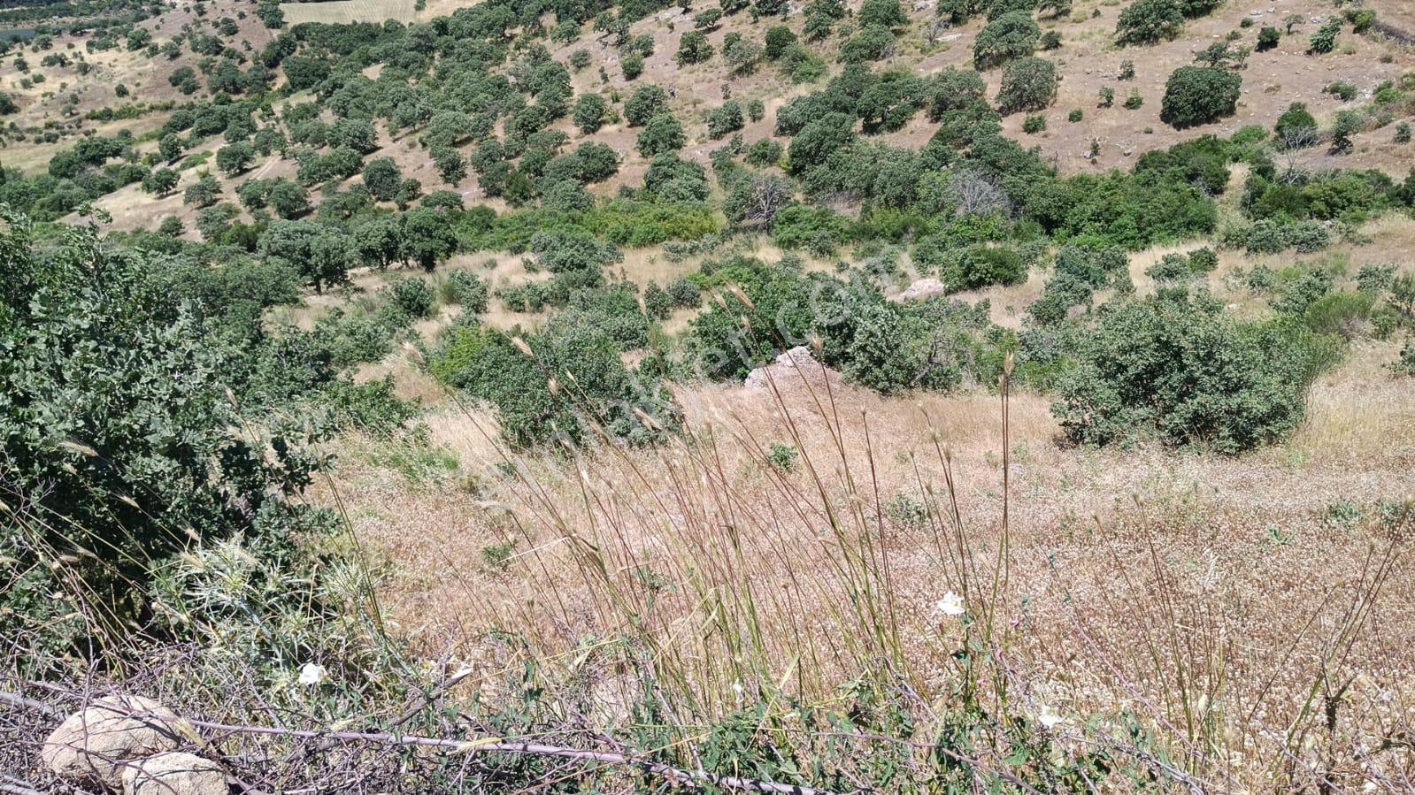 Baraj Manzaralı 7200 M2 Tarla - Görsel 7