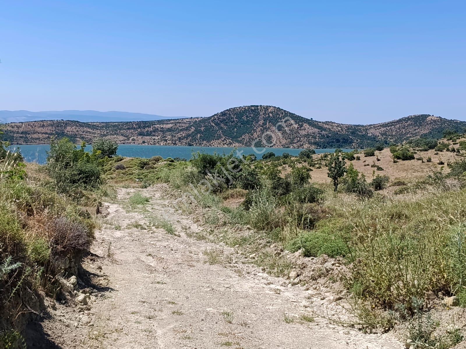 Baraj Manzaralı 7200 M2 Tarla - Görsel 13