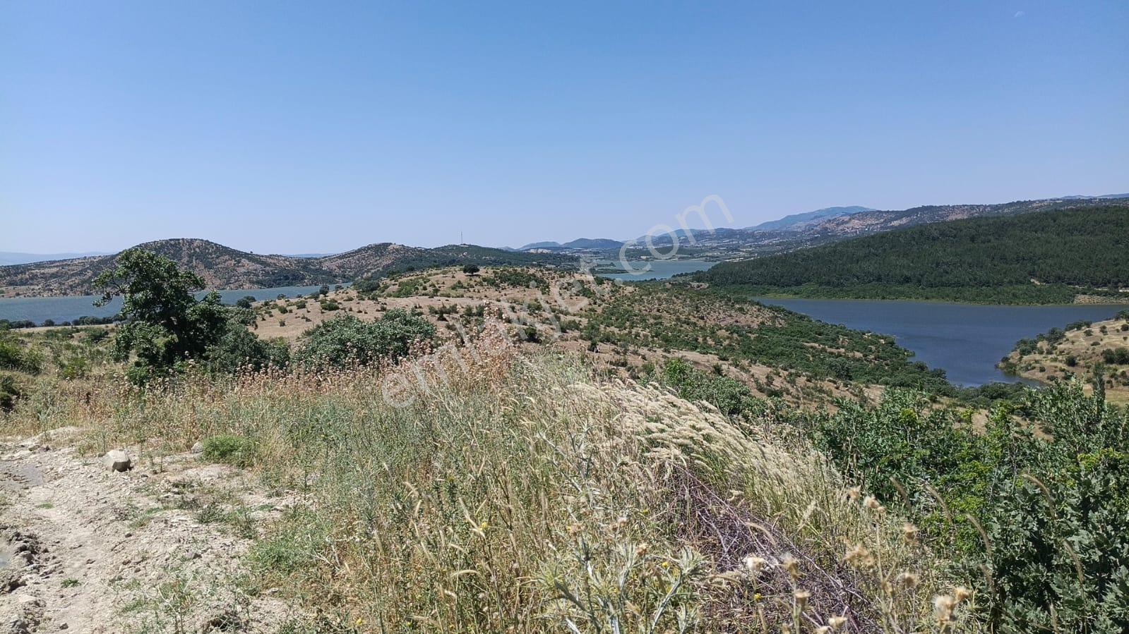 Baraj Manzaralı 7200 M2 Tarla - Görsel 4