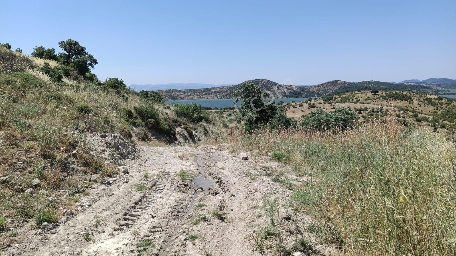Baraj Manzaralı 7200 M2 Tarla - Görsel 3