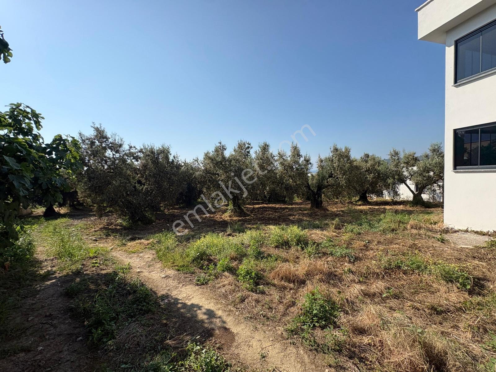 Profasor *dan Mudanya Esence Eşkel 'de Satılık Bahçe 449m2 - Görsel 3