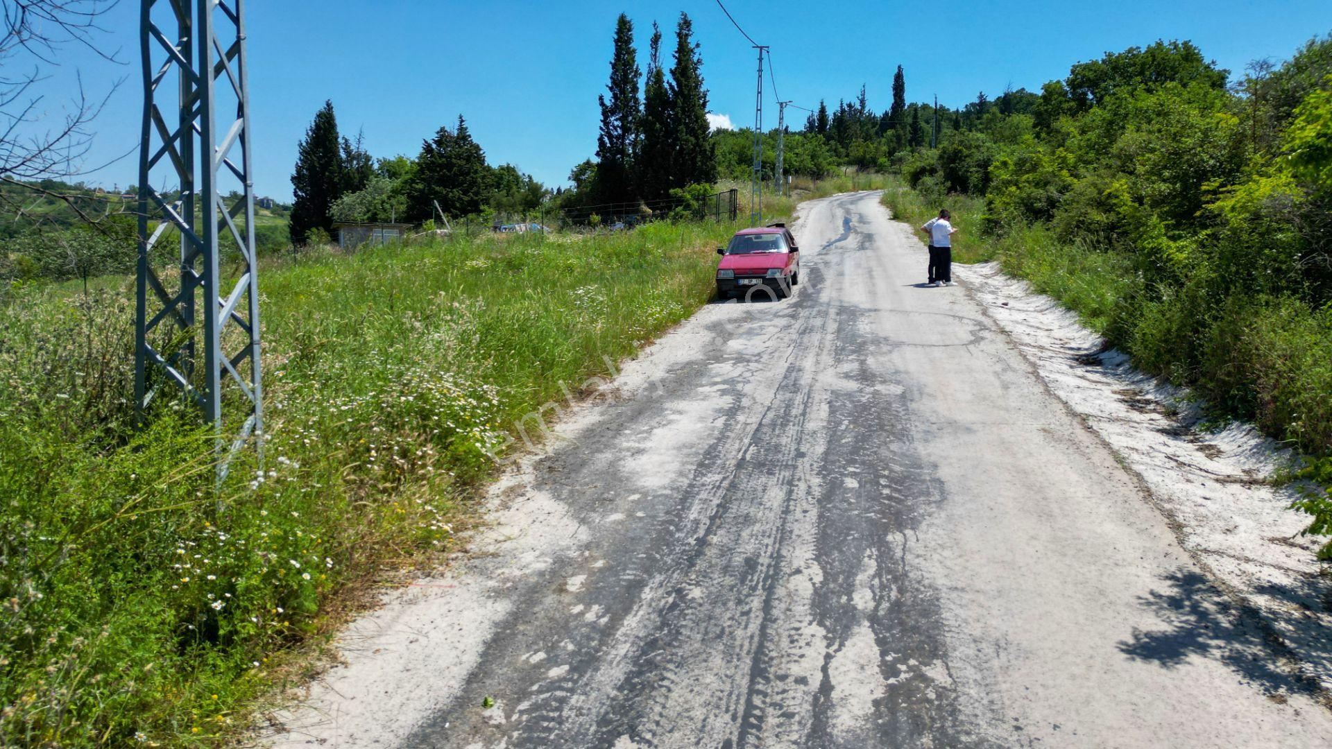Uzmanlar'dan Çiftlikköy Denizçalı Satılık 8.203 M2 Bahçe - Görsel 10