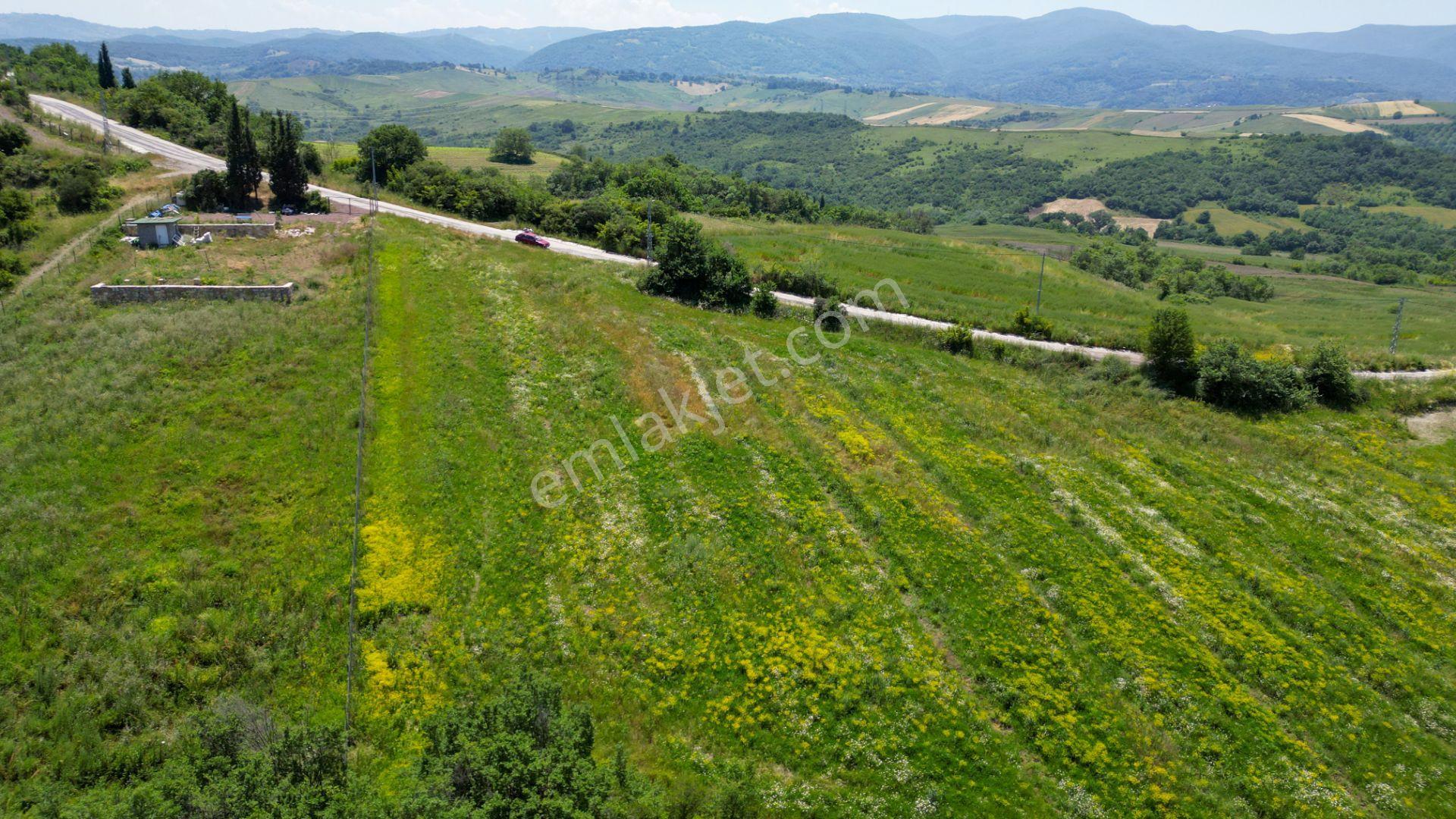 Uzmanlar'dan Çiftlikköy Denizçalı Satılık 8.203 M2 Bahçe - Görsel 8