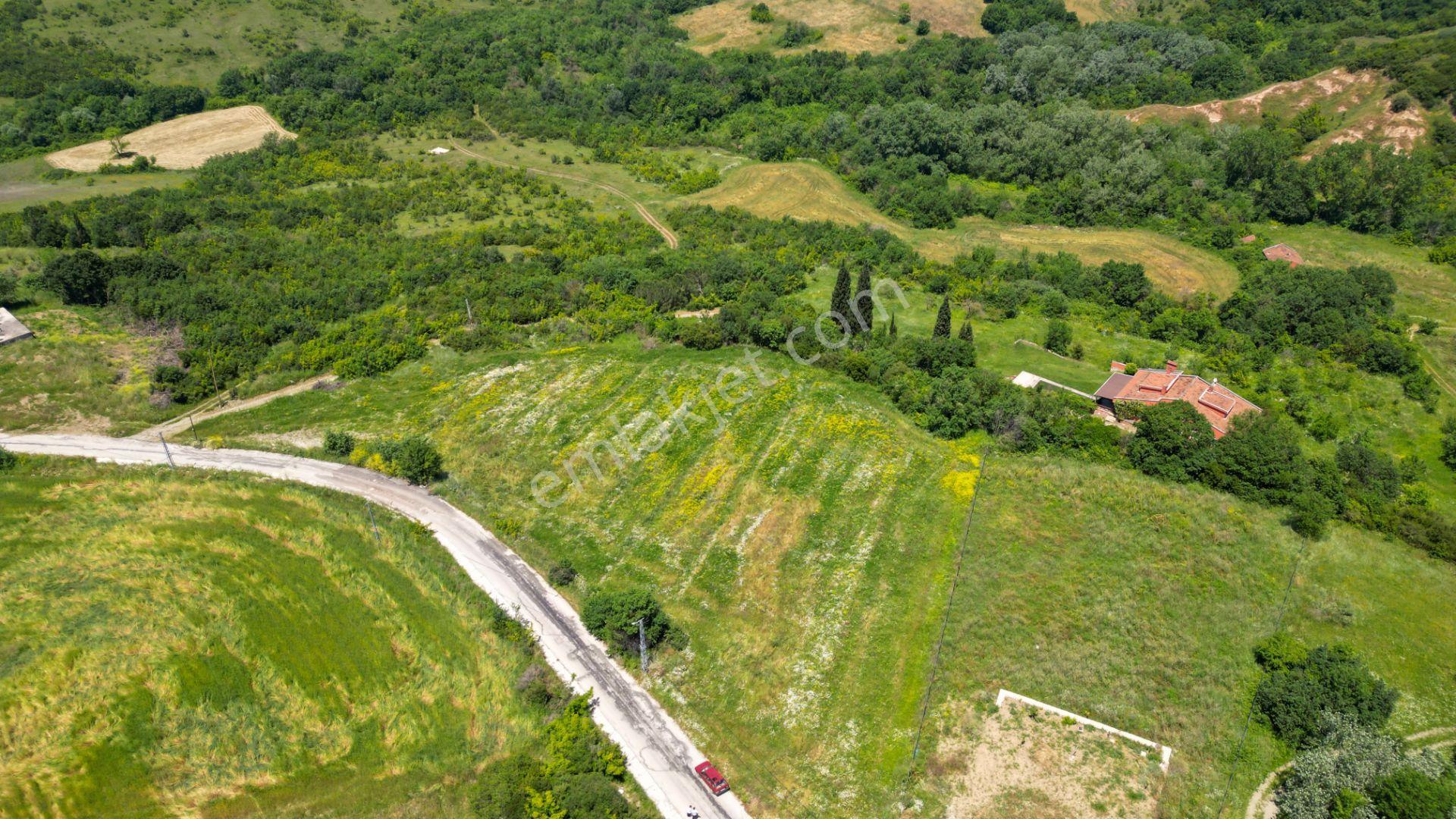 Uzmanlar'dan Çiftlikköy Denizçalı Satılık 8.203 M2 Bahçe - Görsel 2