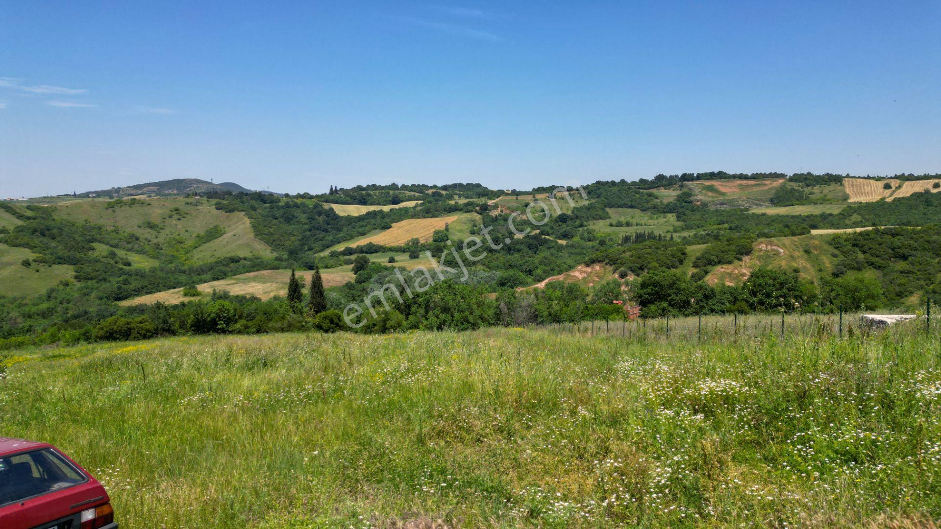 Uzmanlar'dan Çiftlikköy Denizçalı Satılık 8.203 M2 Bahçe - Görsel 14