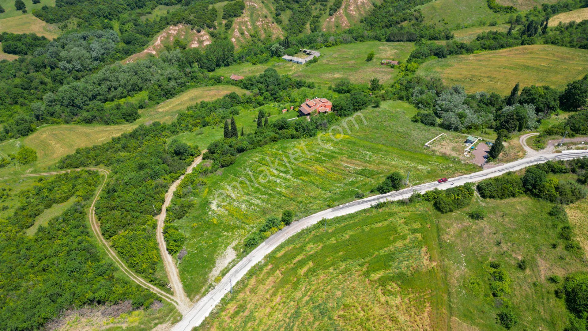 Uzmanlar'dan Çiftlikköy Denizçalı Satılık 8.203 M2 Bahçe - Görsel 3