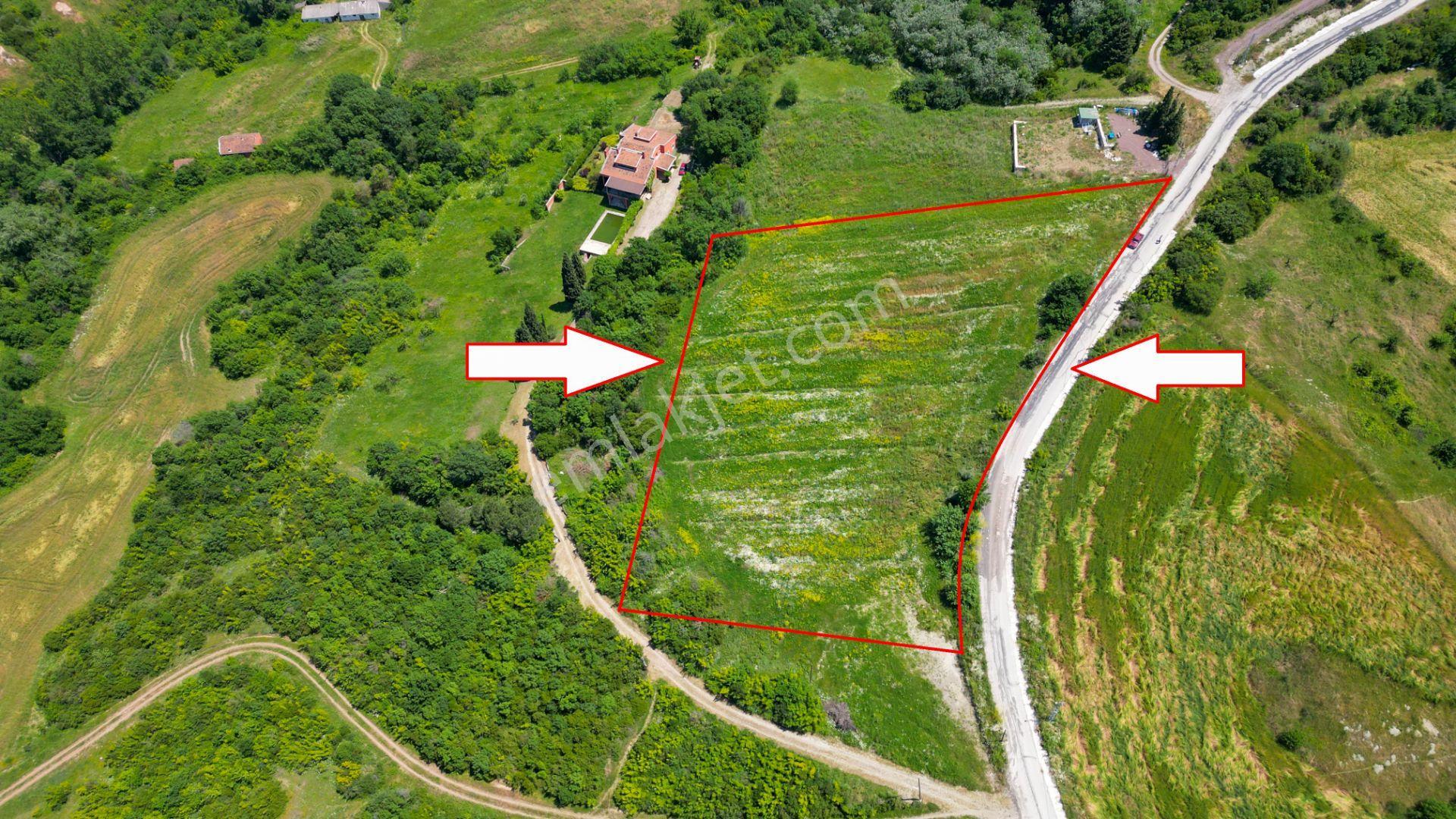 Uzmanlar'dan Çiftlikköy Denizçalı Satılık 8.203 M2 Bahçe
