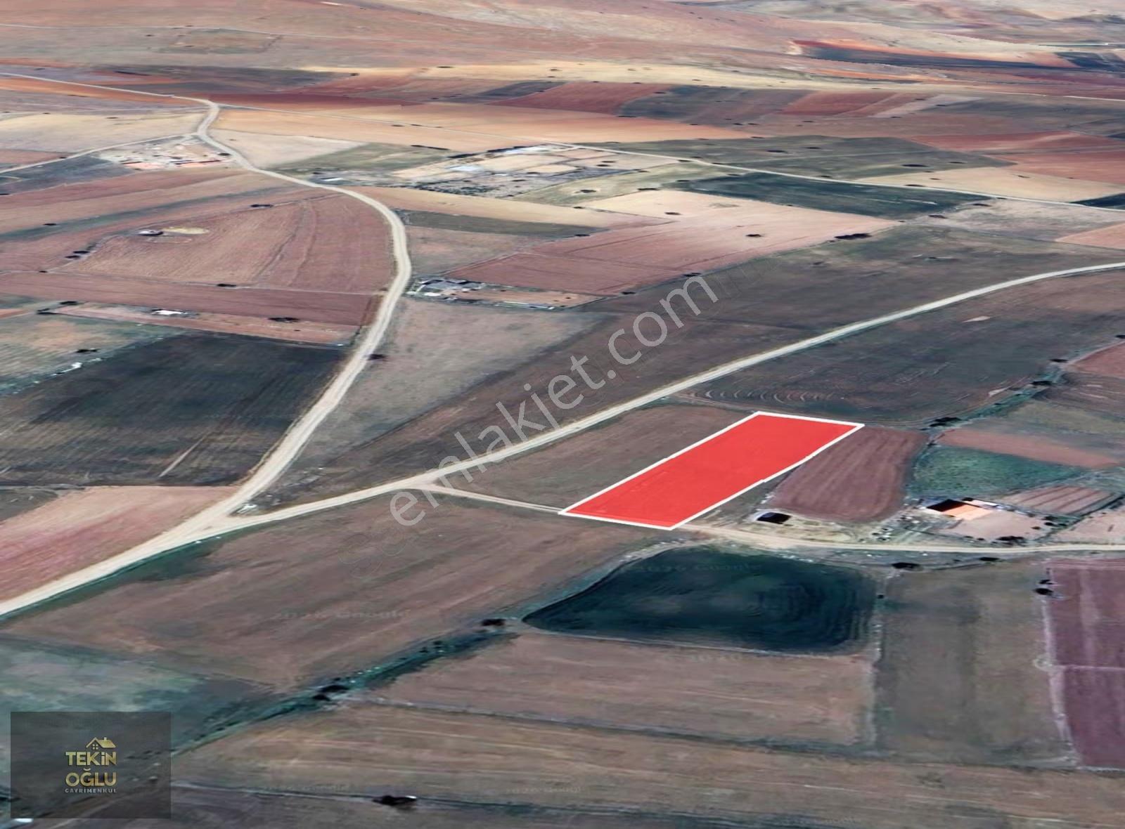 Meram Karadiğin 1906 M² Sulak Müstakil Tarla - Görsel 7