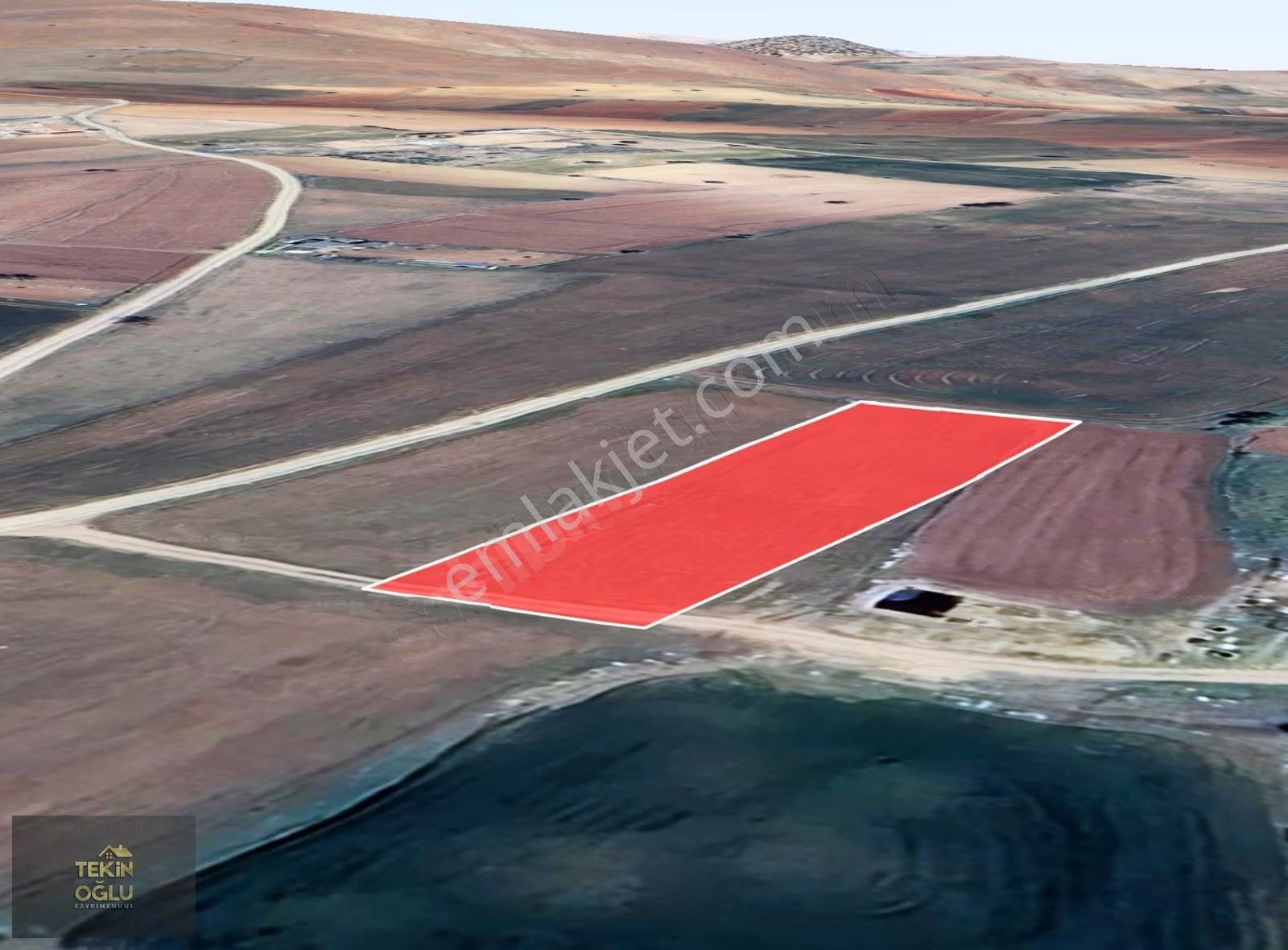 Meram Karadiğin 1906 M² Sulak Müstakil Tarla - Görsel 3
