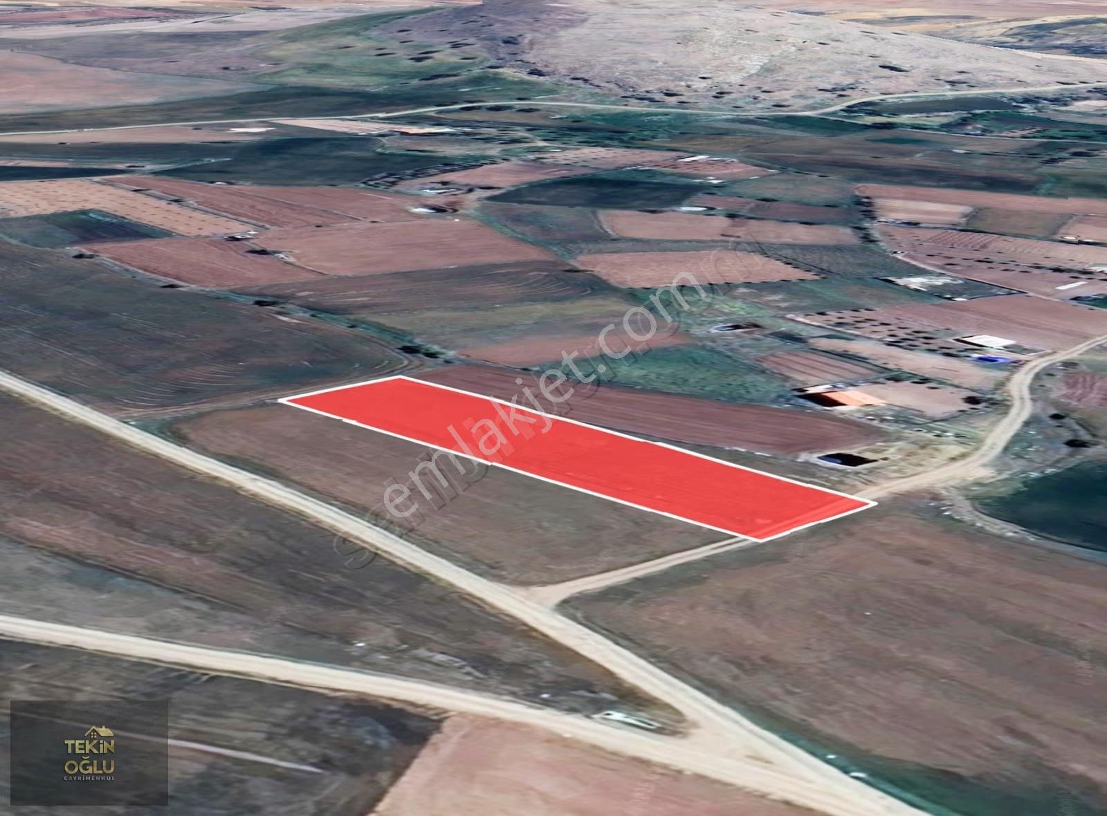 Meram Karadiğin 1906 M² Sulak Müstakil Tarla