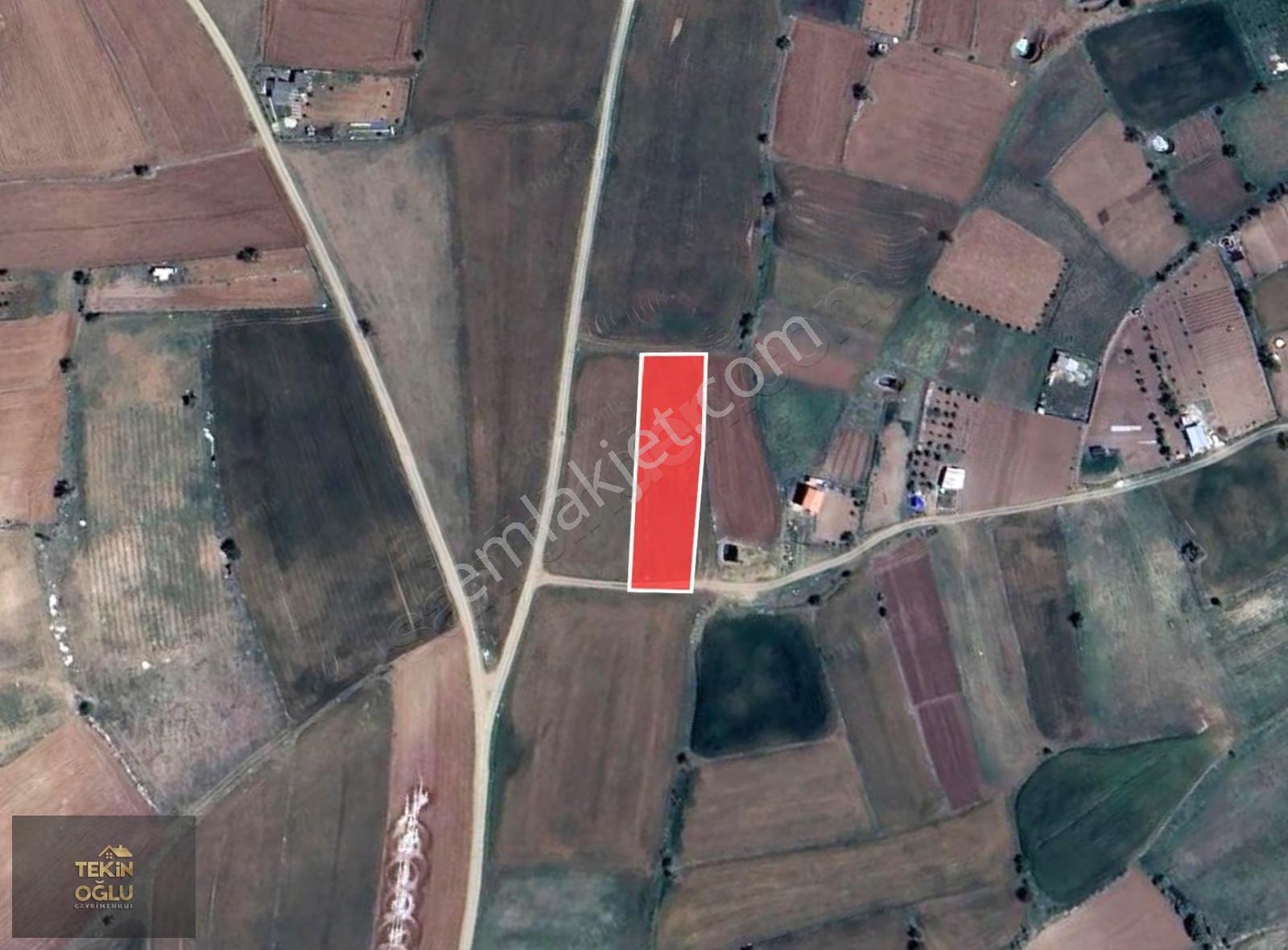 Meram Karadiğin 1906 M² Sulak Müstakil Tarla - Görsel 8