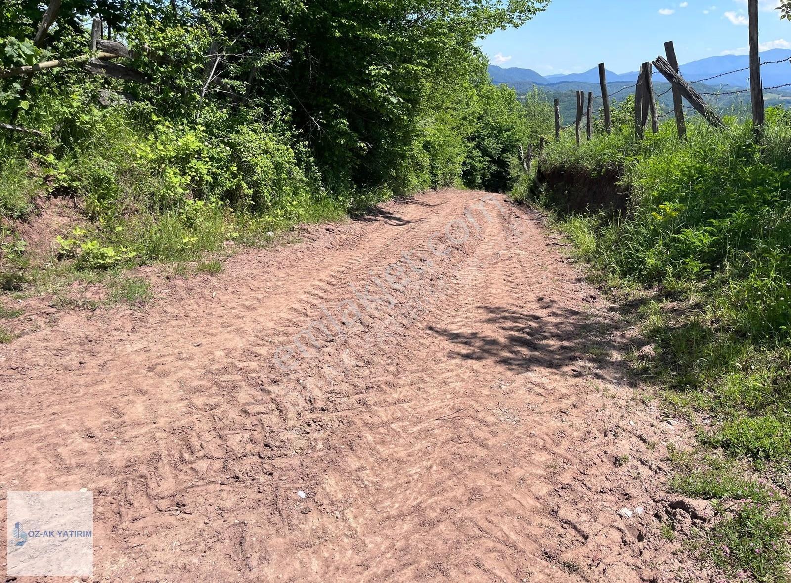 Öz-ak Ta N Yığılca Asar Köyünde 8.720 M2 Alanlı Fındık Bahçesi - Görsel 13