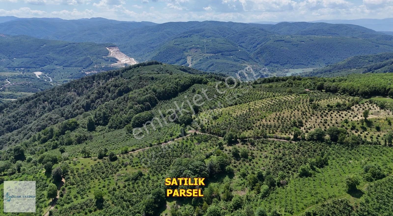 Öz-ak Ta N Yığılca Asar Köyünde 8.720 M2 Alanlı Fındık Bahçesi - Görsel 4