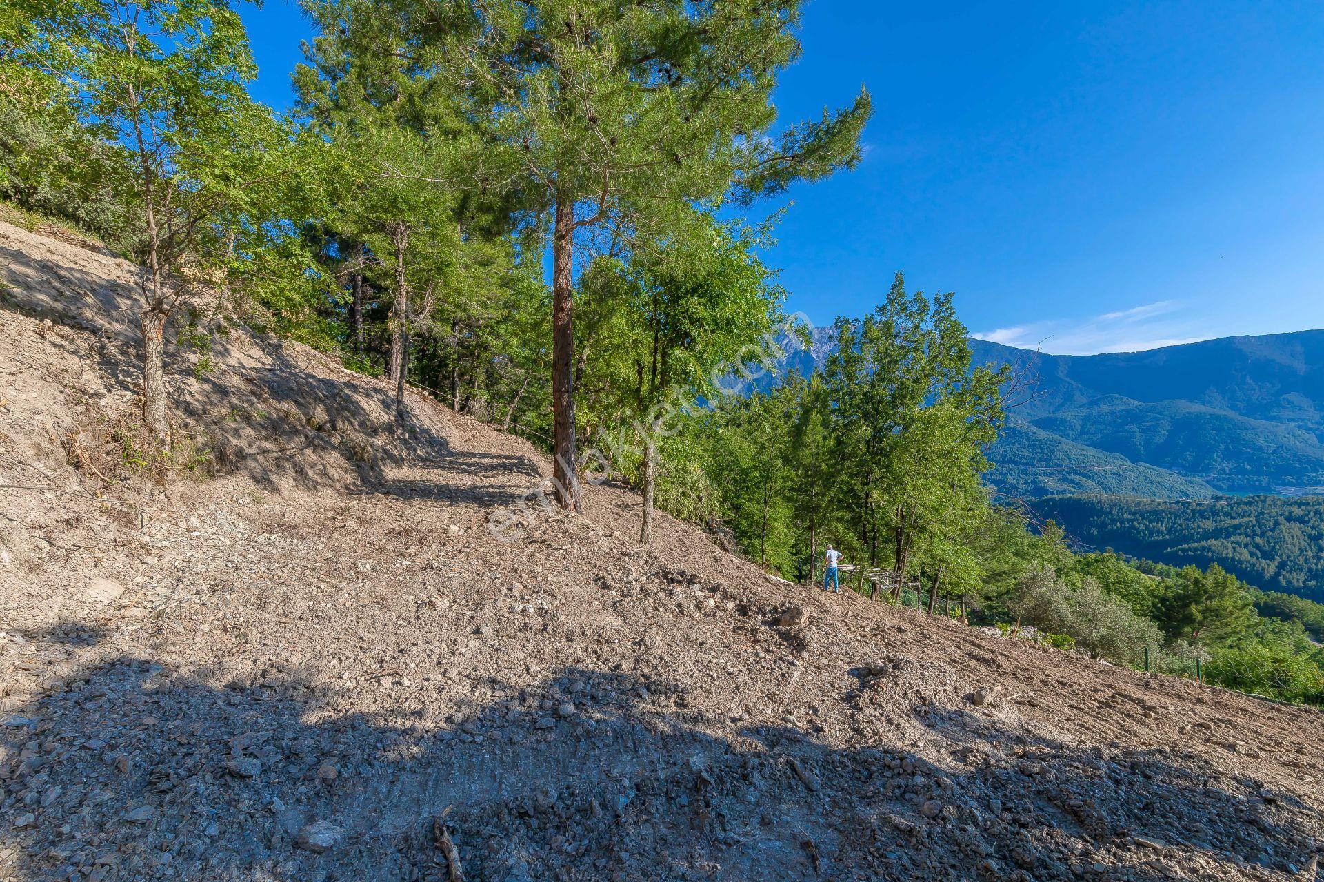 Alanya Üzümlü'de Baraj Gölü Ve Doğa Manzaralı Yatırımlık Tarla - Görsel 3