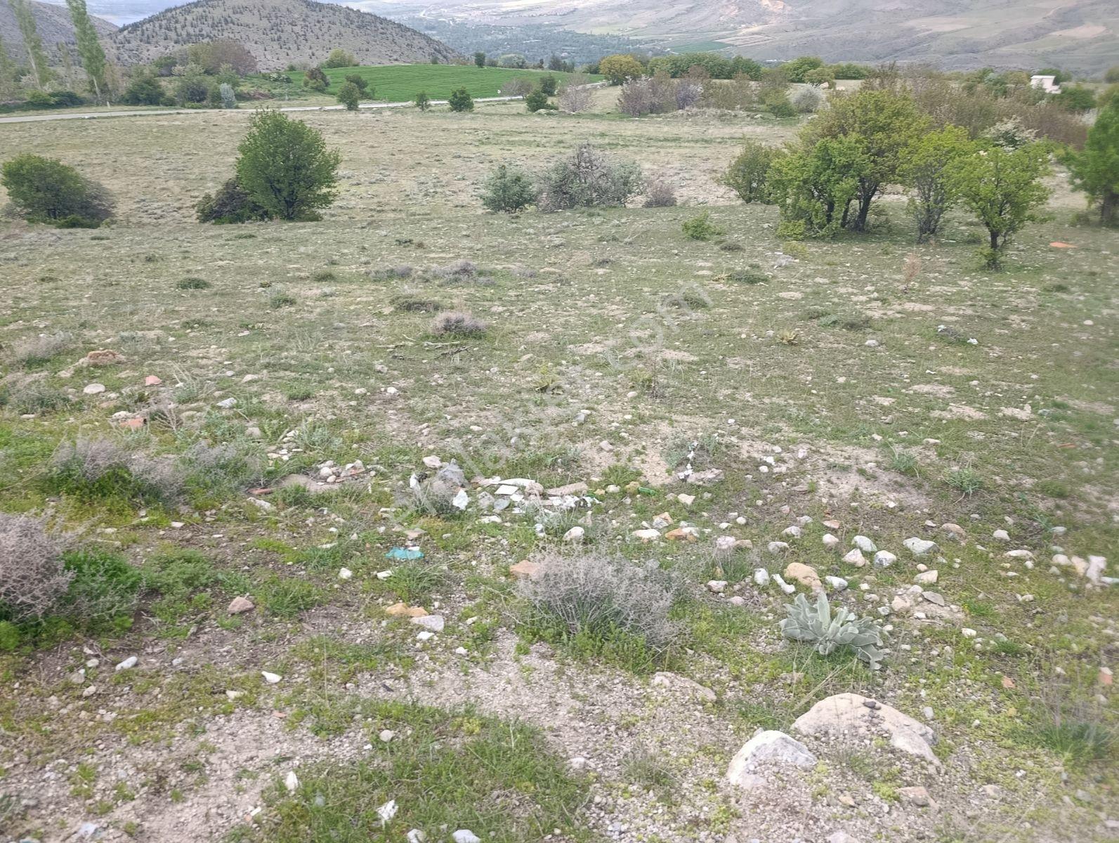 Eskihisarda Satılık 3300 Metrekare Yola Sıfır Bahçe Fiyat Düştü - Görsel 6