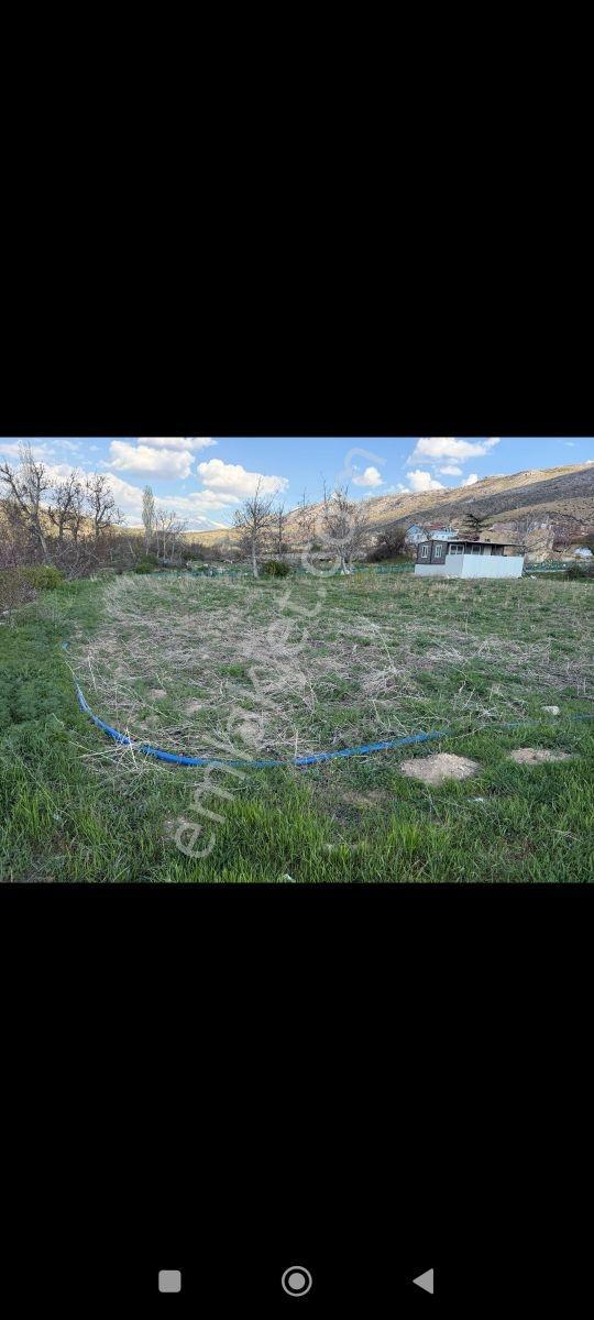 Konteynerli Suyu Bol Bahçemiz Dere Kenarında Cazip Fiyata - Görsel 23