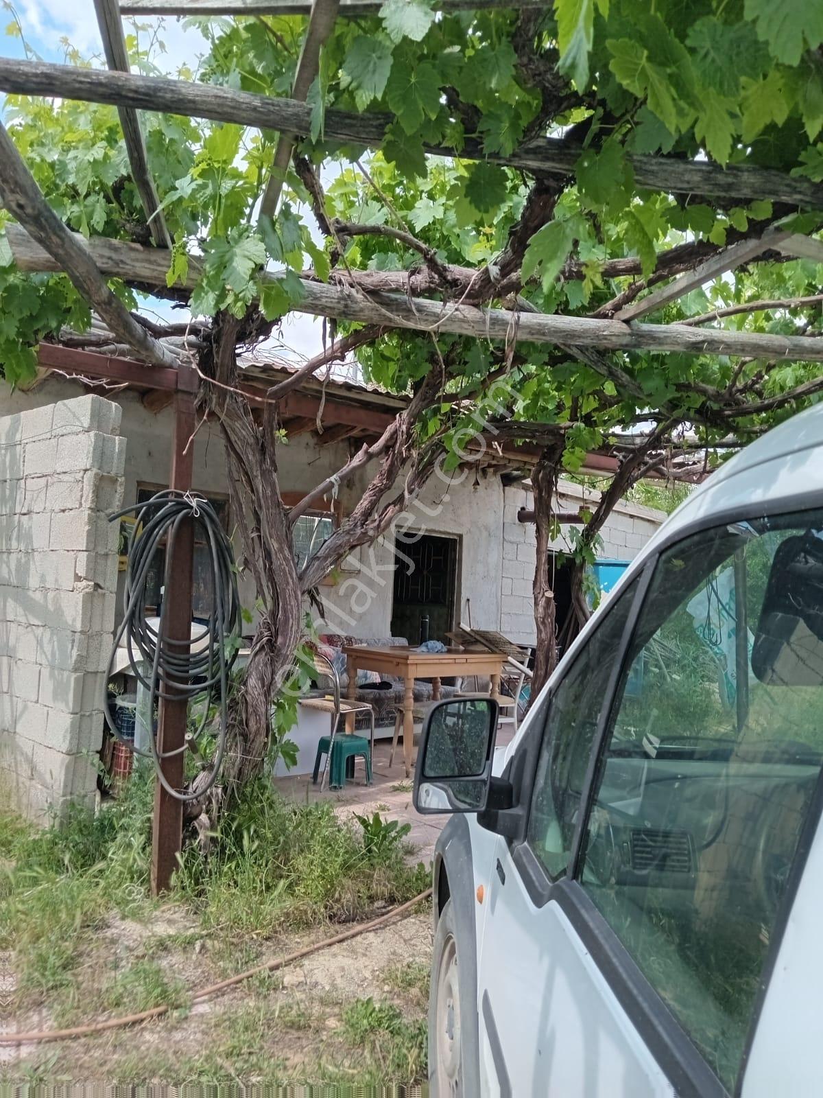 Ticarete Çiftlik Ve Villaya Uygun Muhteşem Yerde Tek Tapu Bahçe - Görsel 4