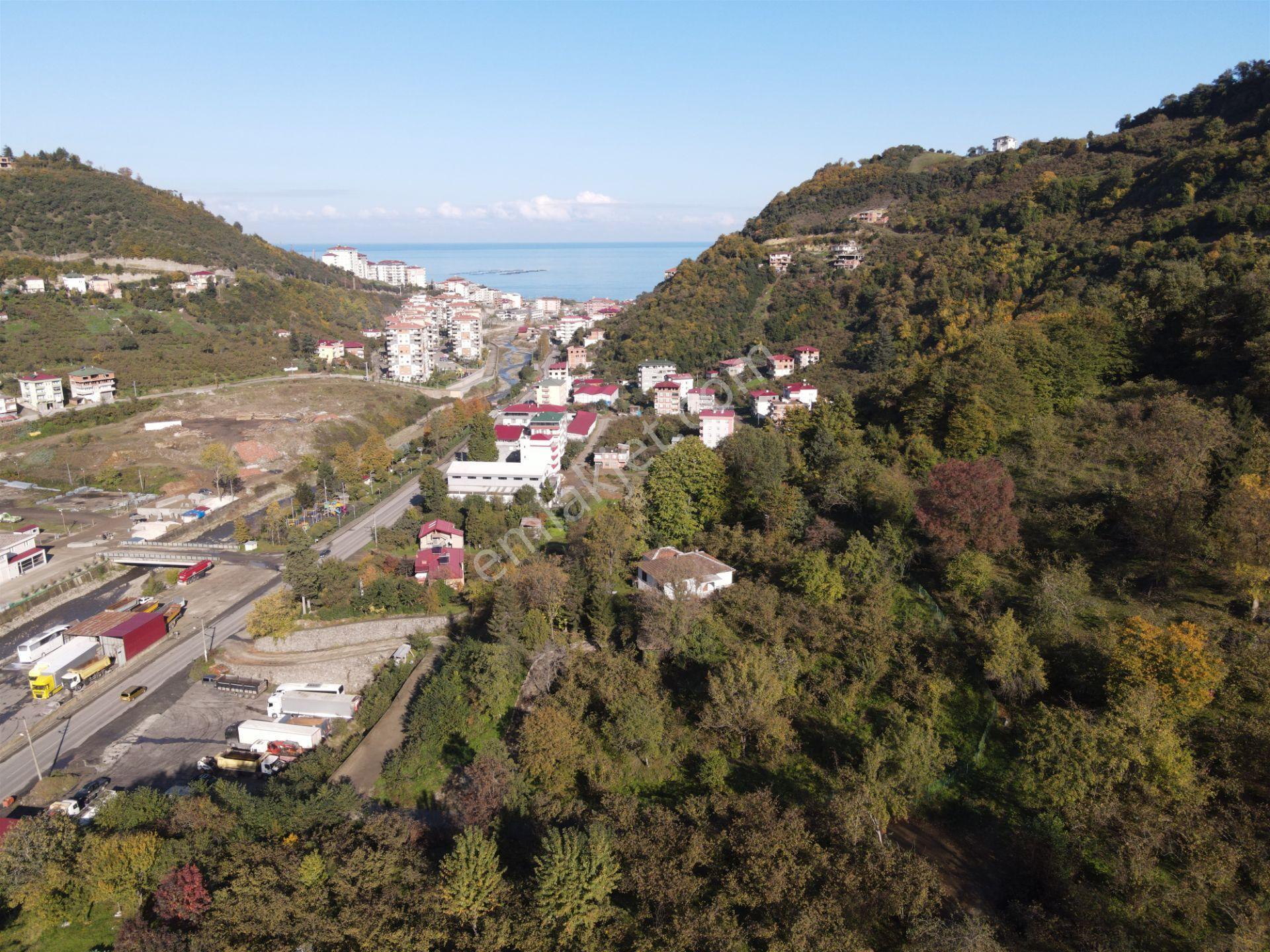 Trabzon Yomra Da Satılık Arsa - Görsel 4