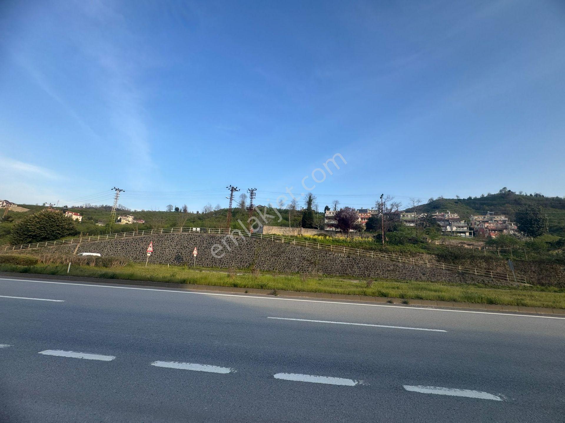 İnanç Emlaktan Keşap Tepeköyde Deniz Manzaralı Düz Satılık Arsa - Görsel 23