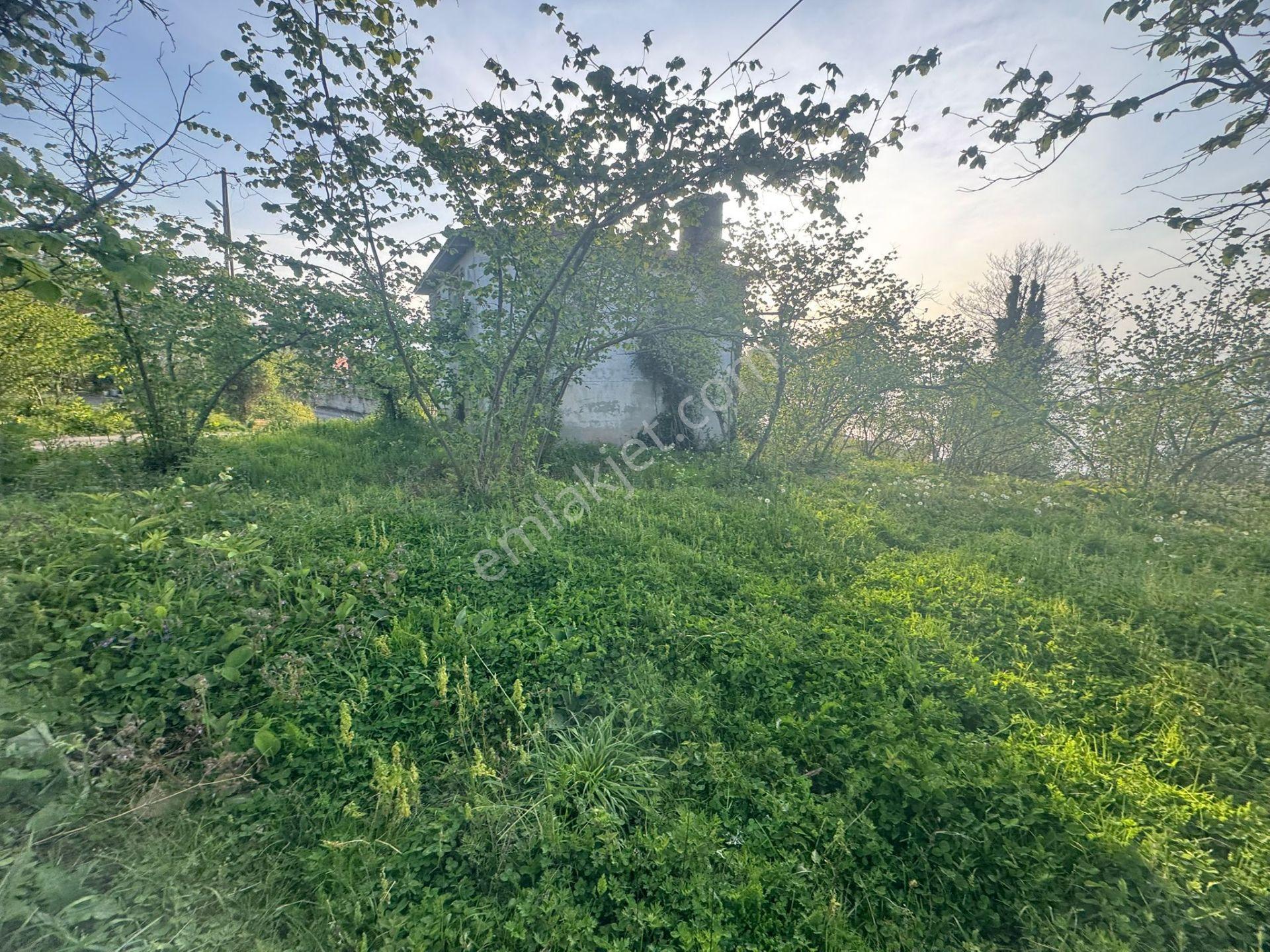 İnanç Emlaktan Keşap Tepeköyde Deniz Manzaralı Düz Satılık Arsa - Görsel 12