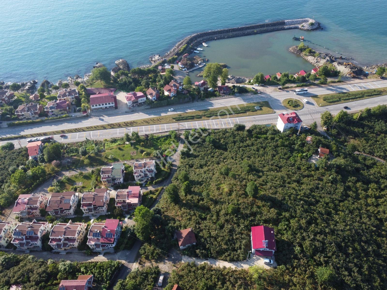 İnanç Emlaktan Keşap Tepeköyde Deniz Manzaralı Düz Satılık Arsa - Görsel 3