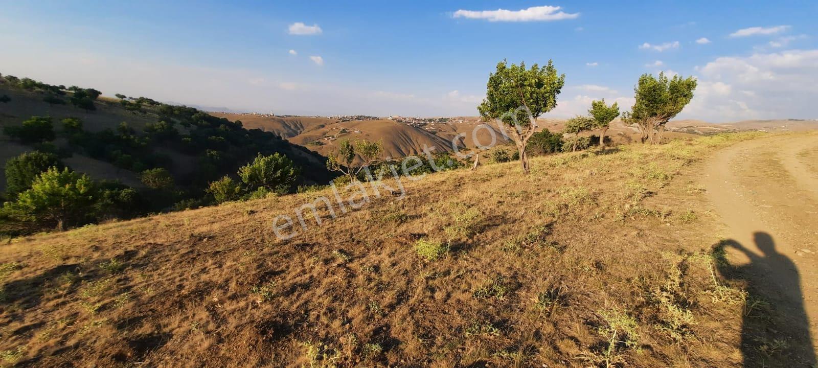 Lider Emlaktan Yakup Abdalda Kaçırılmıcak 558m2 Yatırımlık Bahçe - Görsel 7