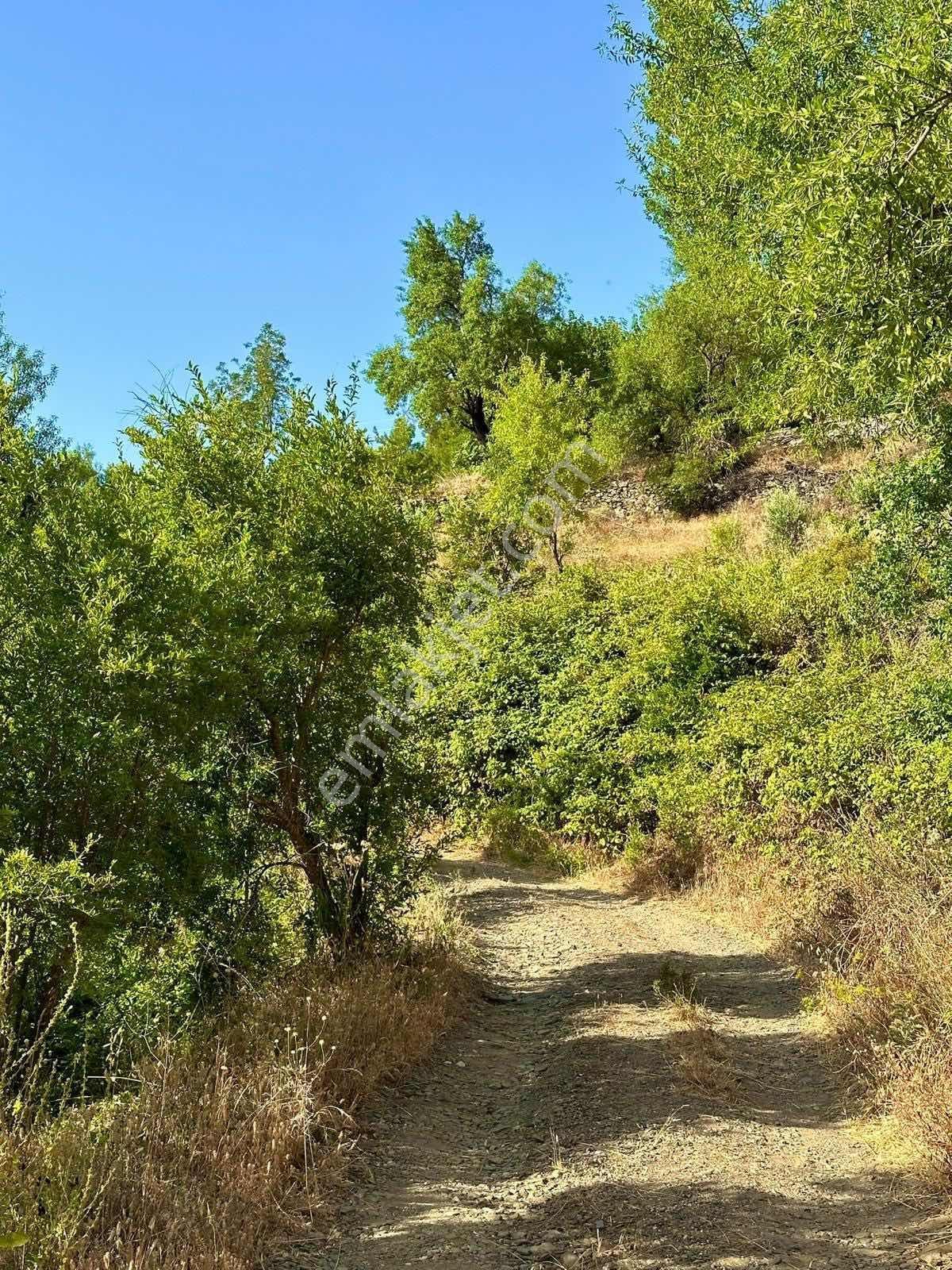 Alanya Sapadere'de Uygun Fiyatlı Tarla - Görsel 10