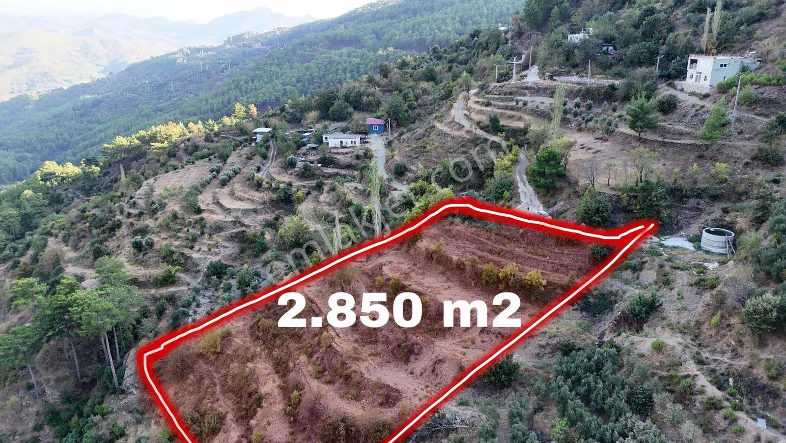 Alanya Sapadere'de Uygun Fiyatlı Tarla