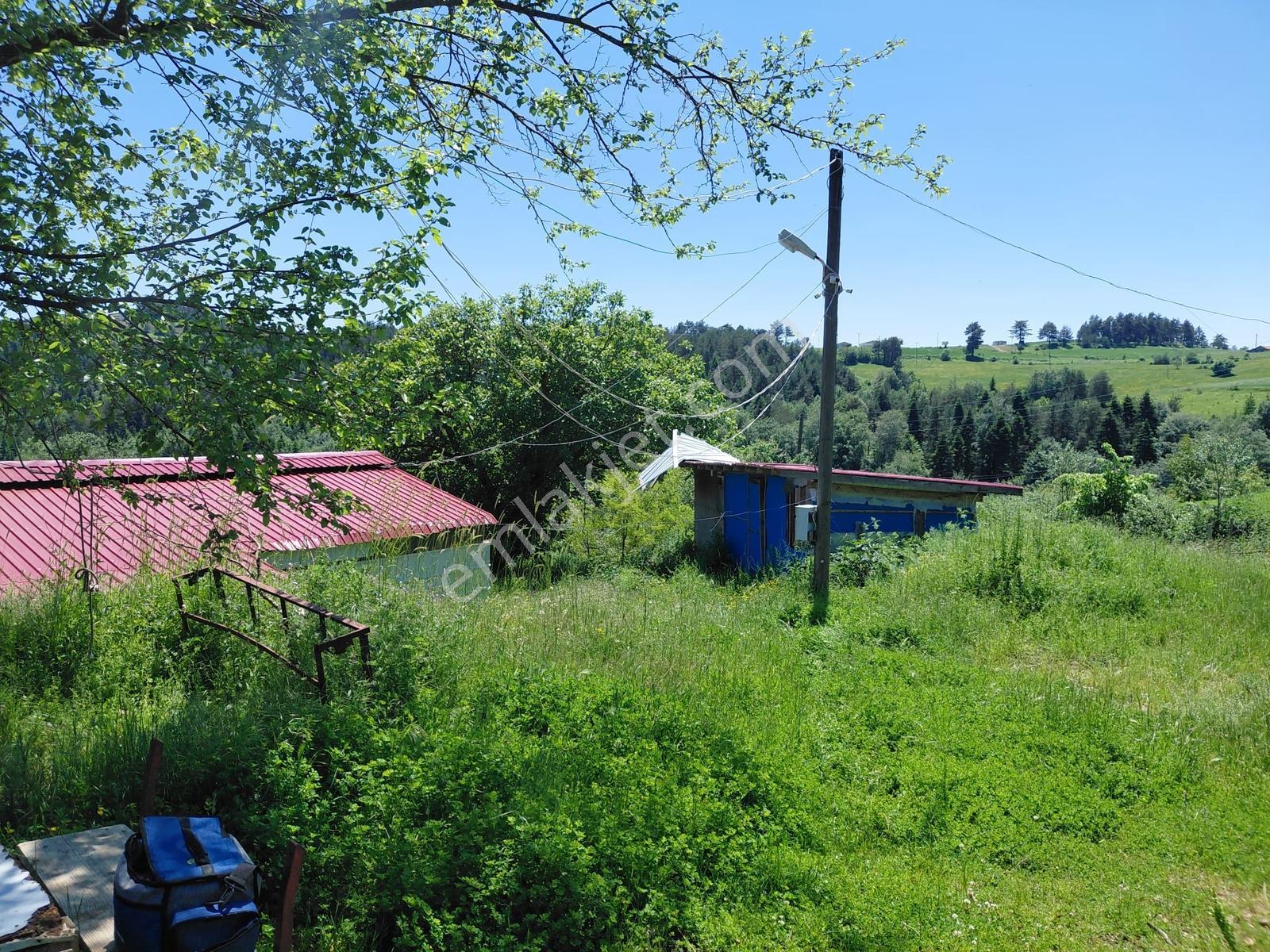 Alaçam Tepebölmesi Köyü Satılık 5690 M2 Tarla (ev-ahır-çobanevi) - Görsel 29