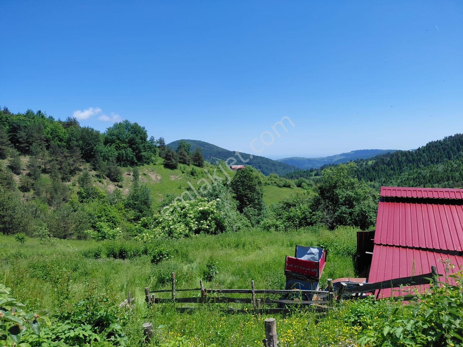 Alaçam Tepebölmesi Köyü Satılık 5690 M2 Tarla (ev-ahır-çobanevi) - Görsel 5