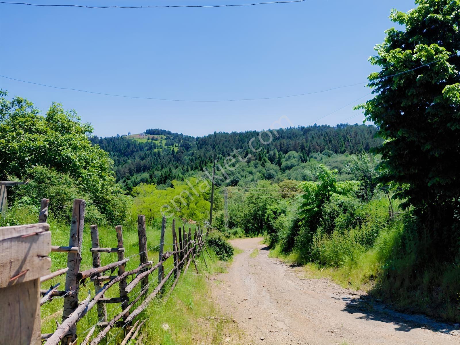 Alaçam Tepebölmesi Köyü Satılık 5690 M2 Tarla (ev-ahır-çobanevi) - Görsel 3