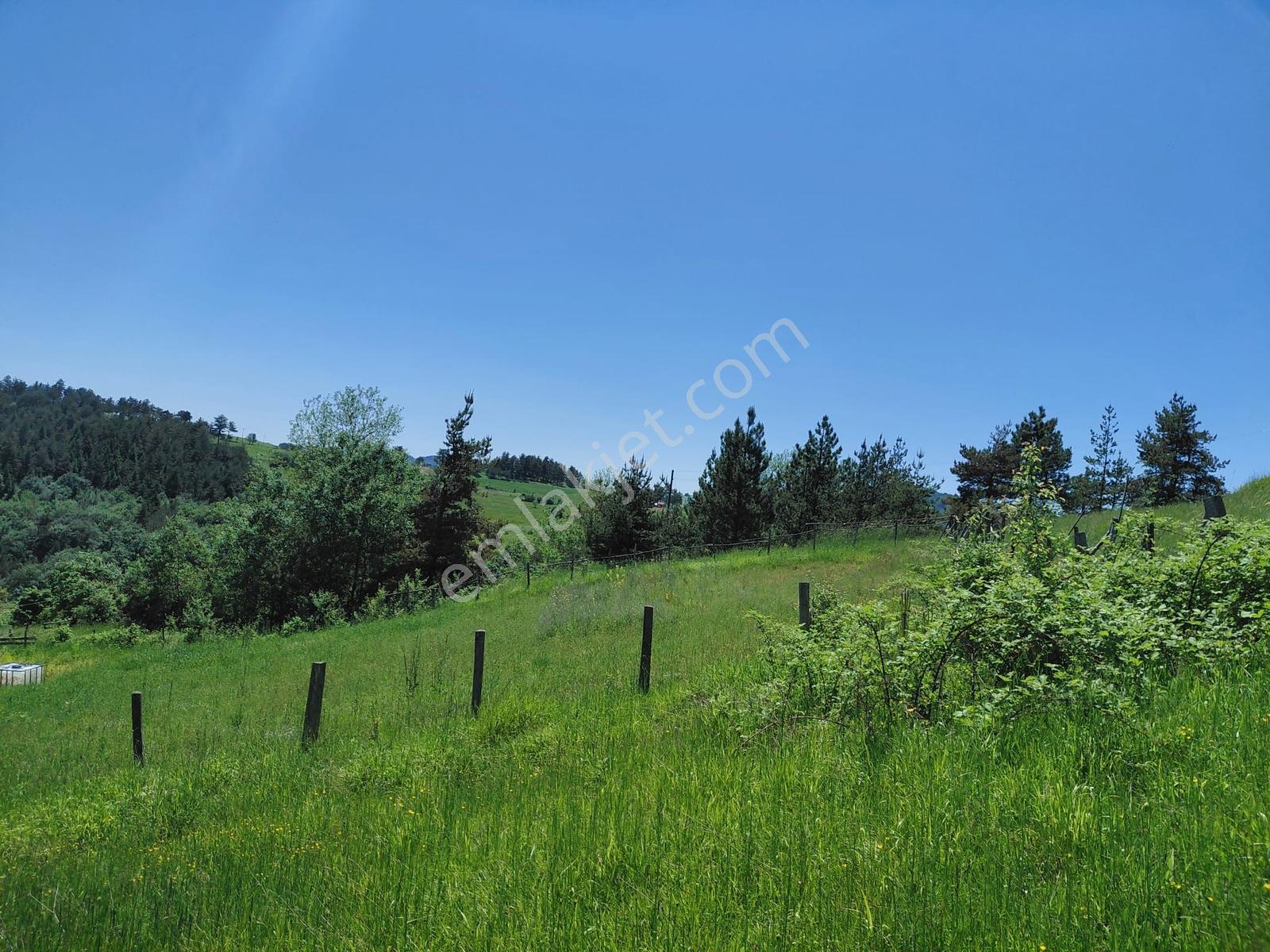 Alaçam Tepebölmesi Köyü Satılık 5690 M2 Tarla (ev-ahır-çobanevi) - Görsel 6