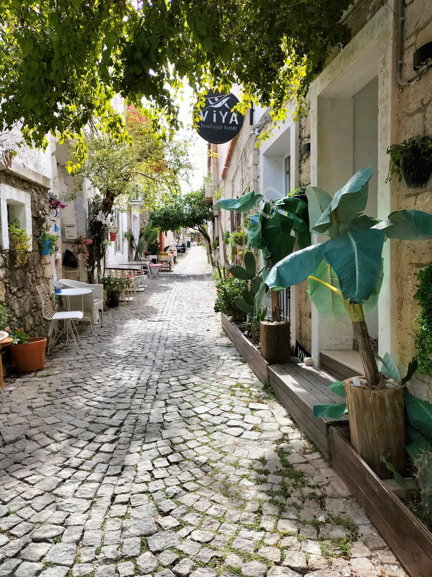 Alaçatı Merkez De Satılık Eski Taş Ev - Görsel 29