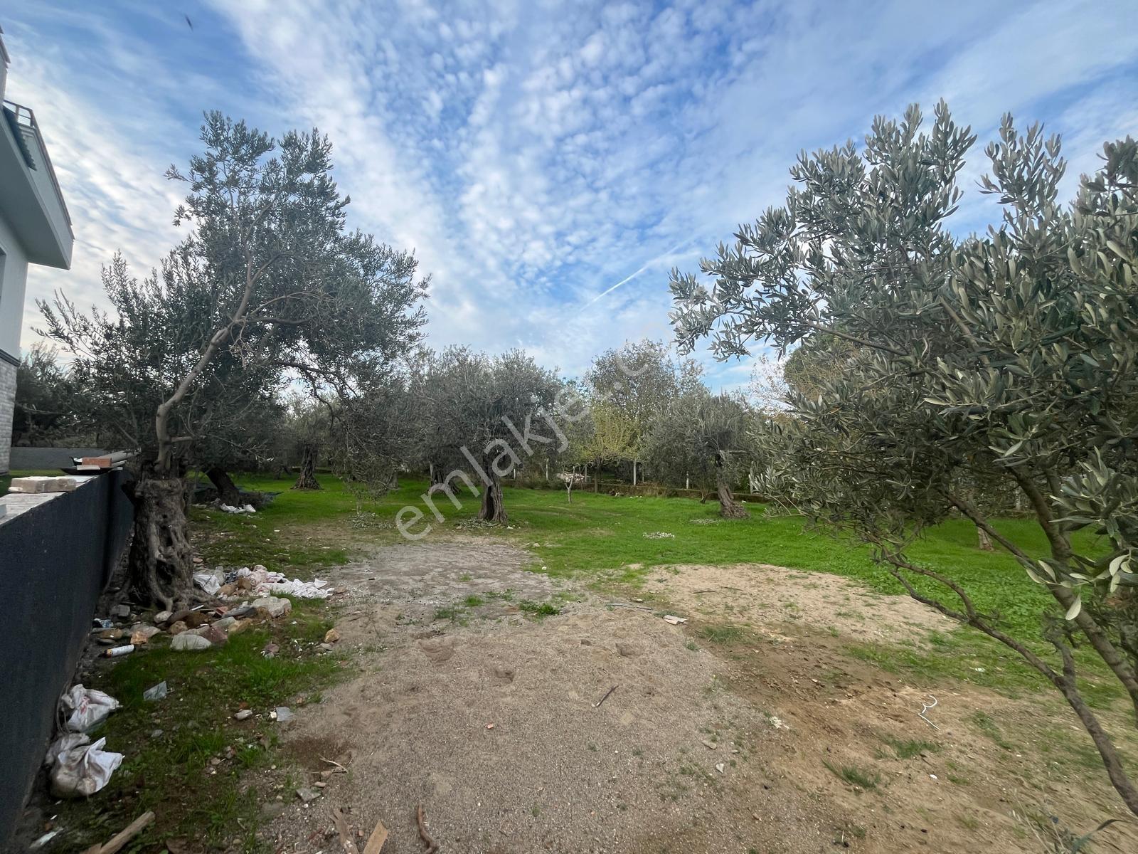 Kavuşturan Emlak'tan Akçay Zeytinli'de 408 M2 Satılık Arsa - Görsel 33