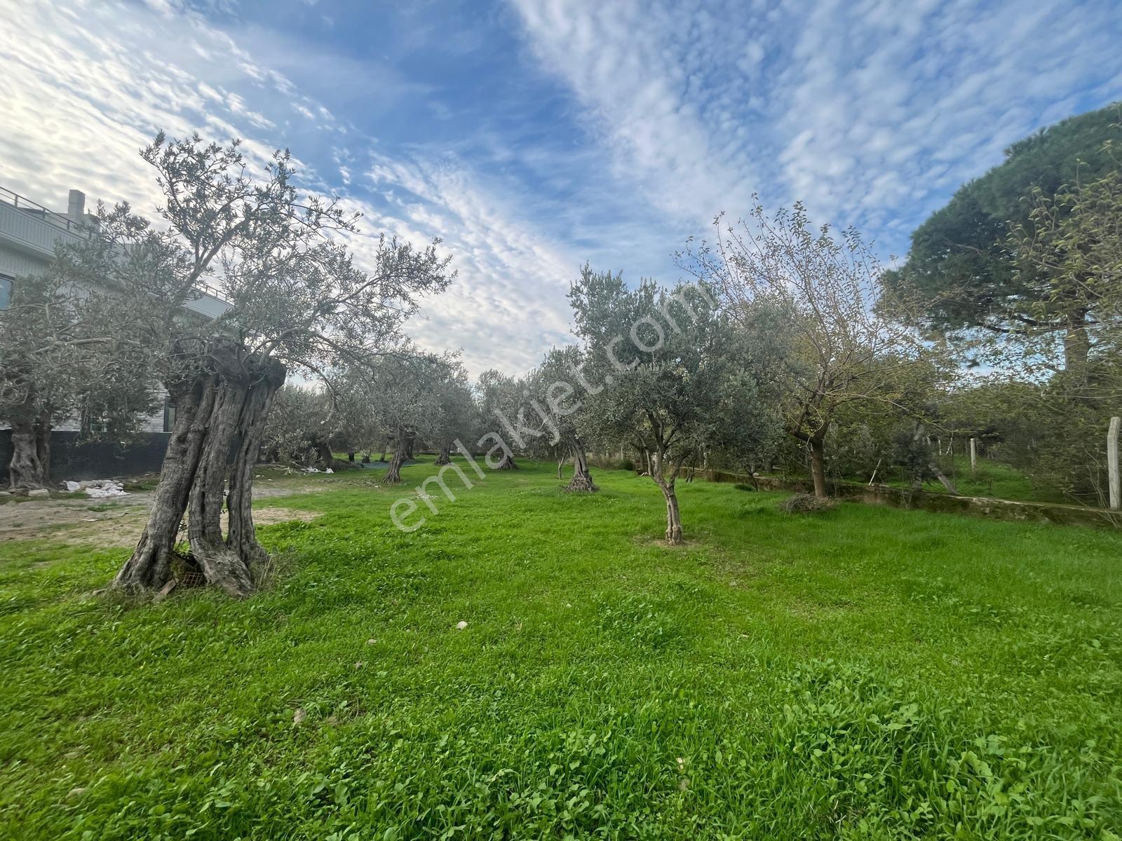 Kavuşturan Emlak'tan Akçay Zeytinli'de 408 M2 Satılık Arsa - Görsel 14