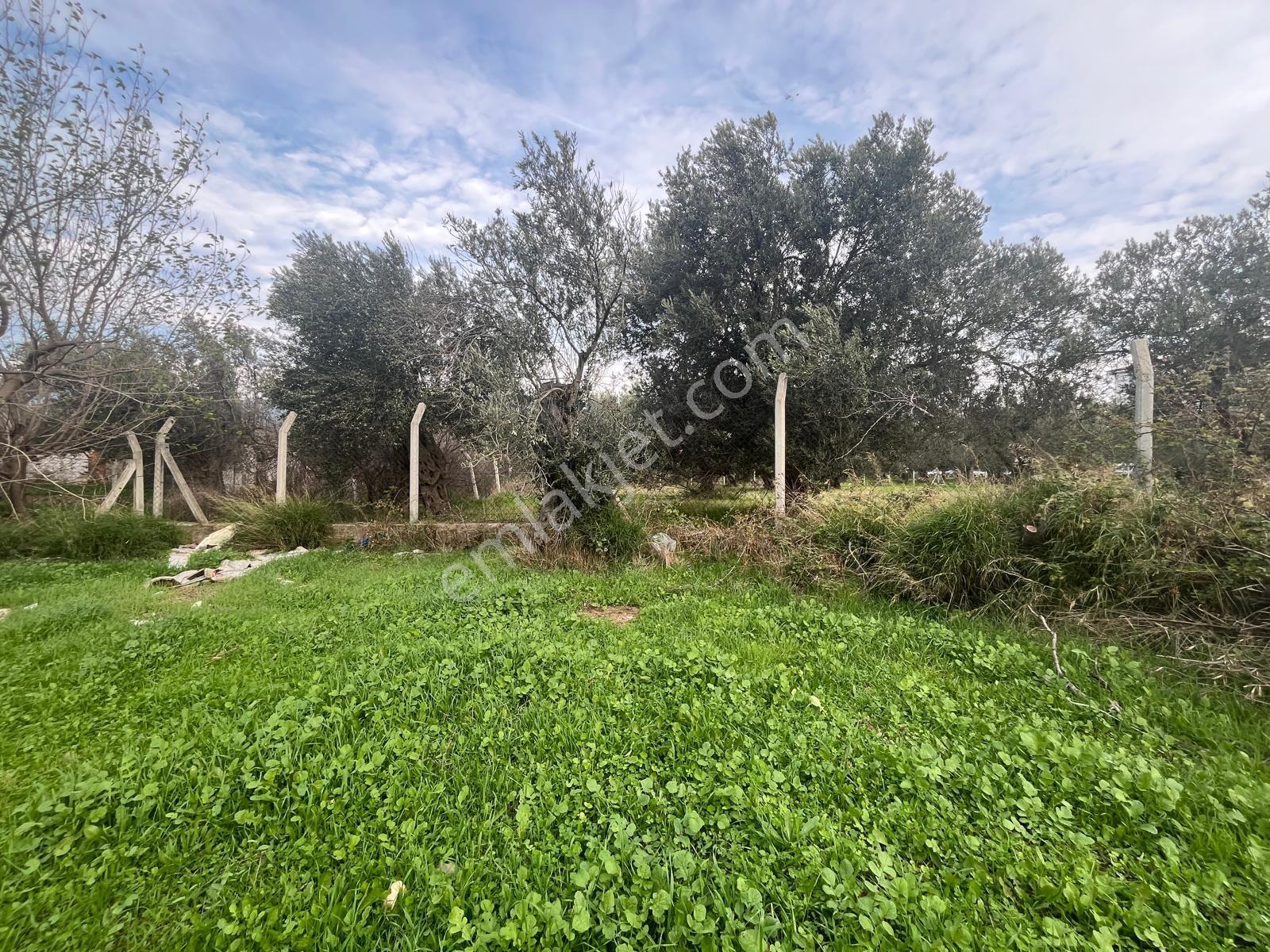 Kavuşturan Emlak'tan Akçay Zeytinli'de 408 M2 Satılık Arsa - Görsel 22