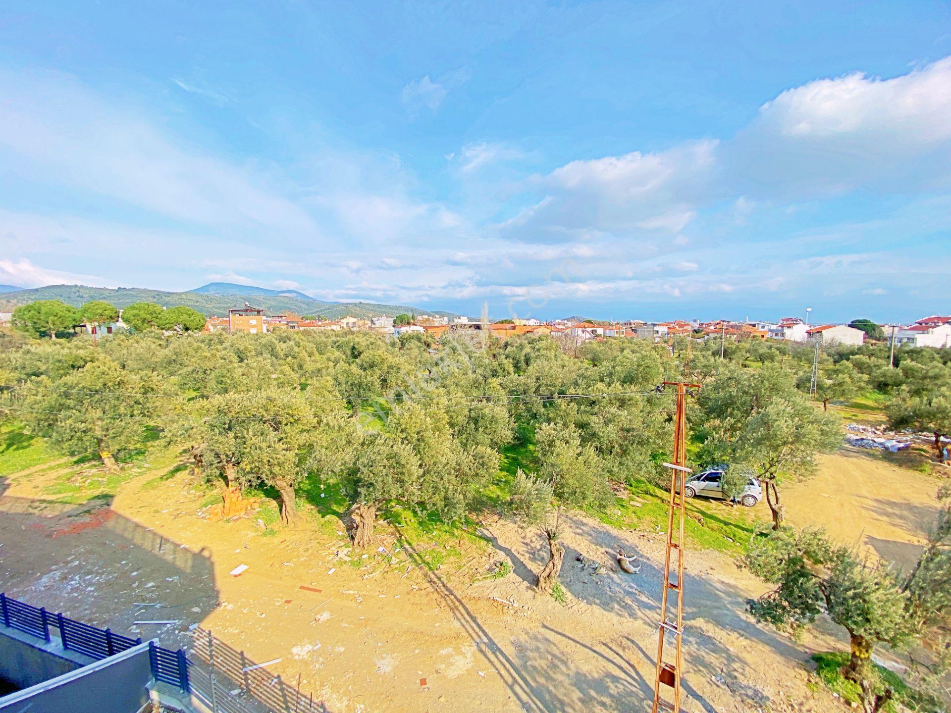 Zeytinlide Yetki Gültaş Emlaktan Satılık 3+1 Yüzme Havuzlu Villa - Görsel 3