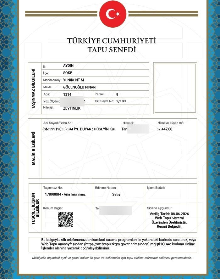 Söke Yenikent'te 52 Dönüm Kaynak Sulu Verimli Zeytinlik - Görsel 6
