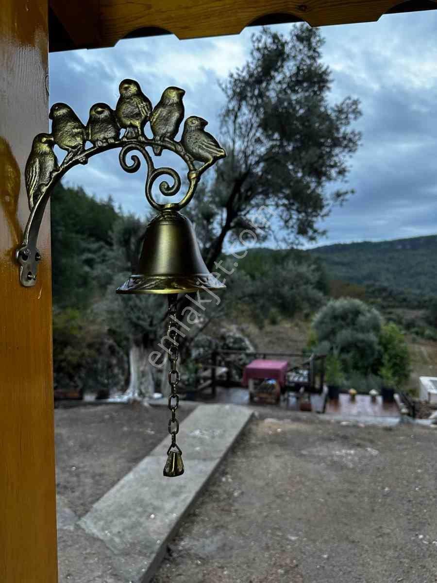 Mılas Menteşe Dağpınarda İçinde Ev Olan Tarla - Görsel 3