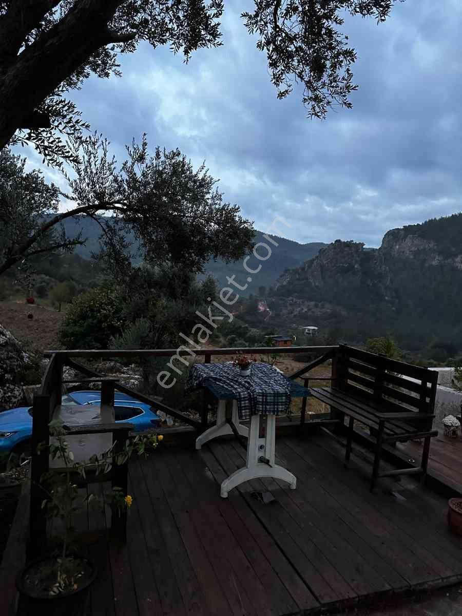 Mılas Menteşe Dağpınarda İçinde Ev Olan Tarla - Görsel 11