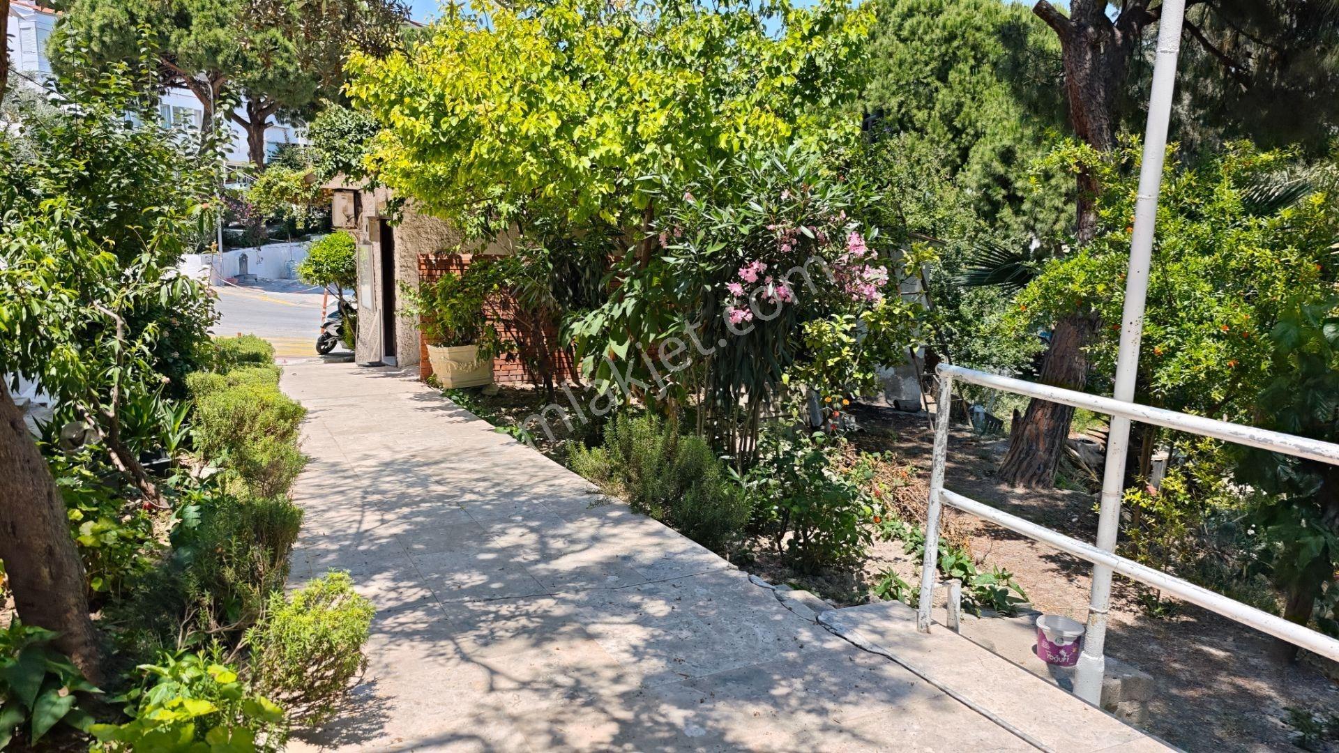 Kuşadası Kadınlar Denizi Seçkin Sitesinde Kiralık 1+1 Daire - Görsel 5