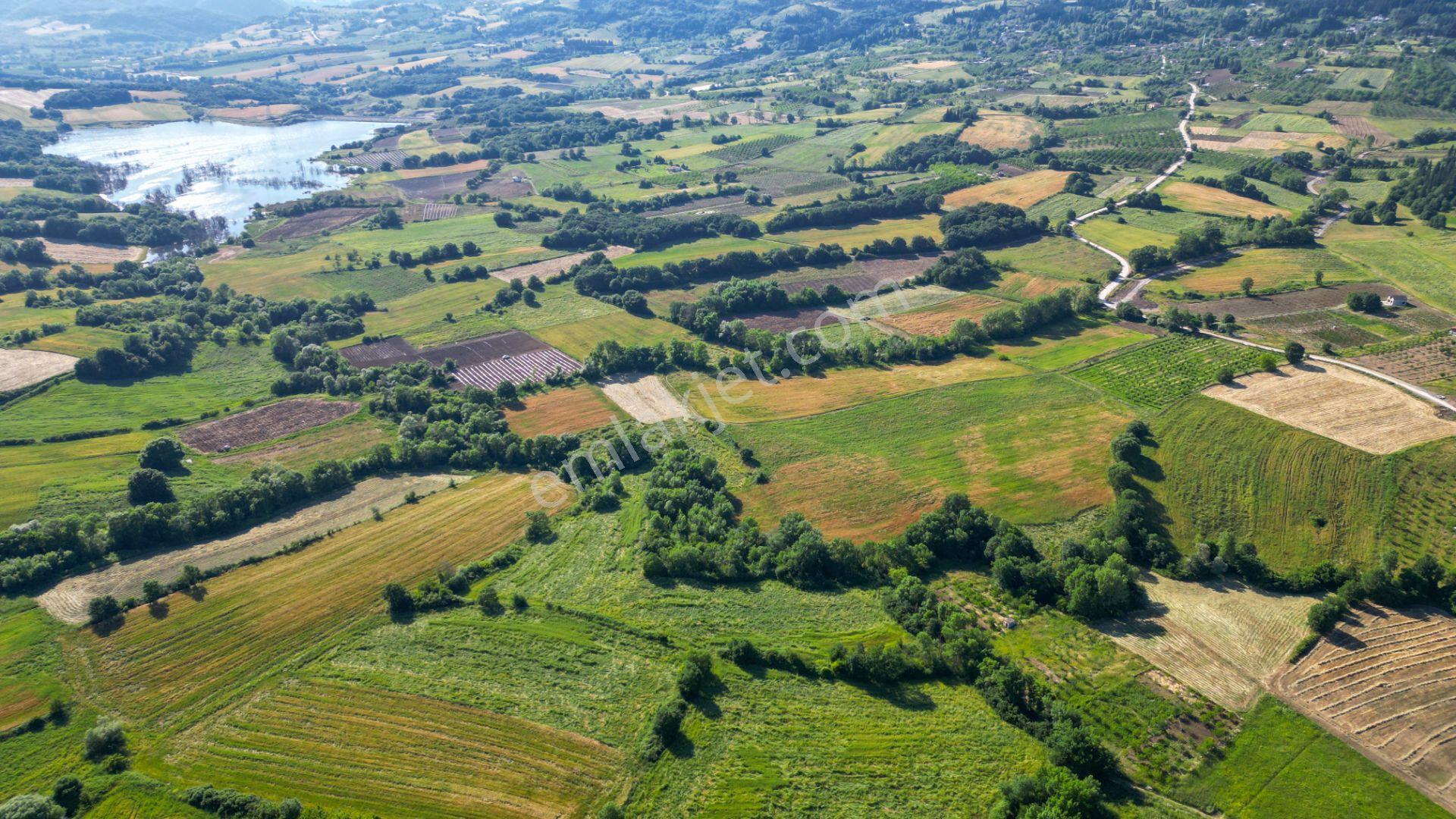 Kocaeli Karamürsel Hayriye Satılık 21.662 M2 Tarla - Görsel 2