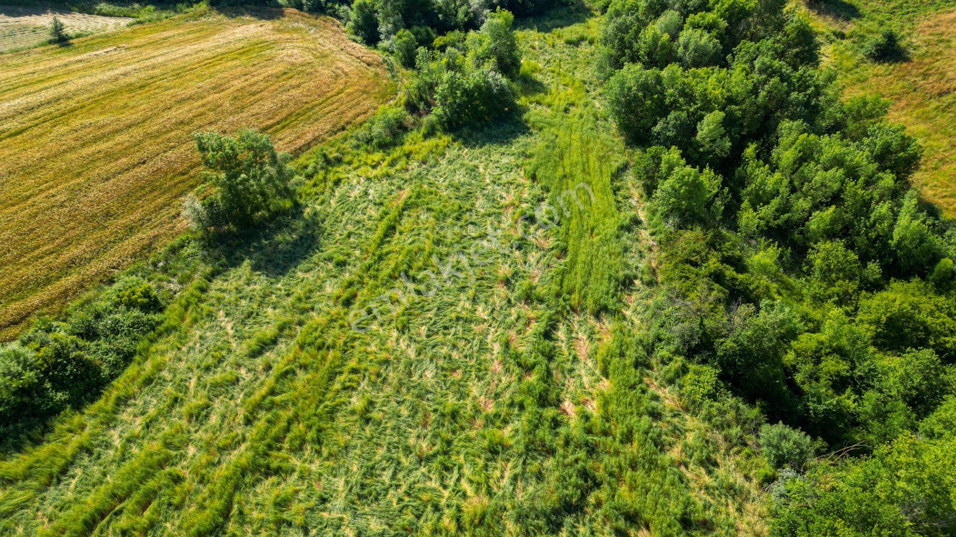Kocaeli Karamürsel Hayriye Satılık 21.662 M2 Tarla - Görsel 5